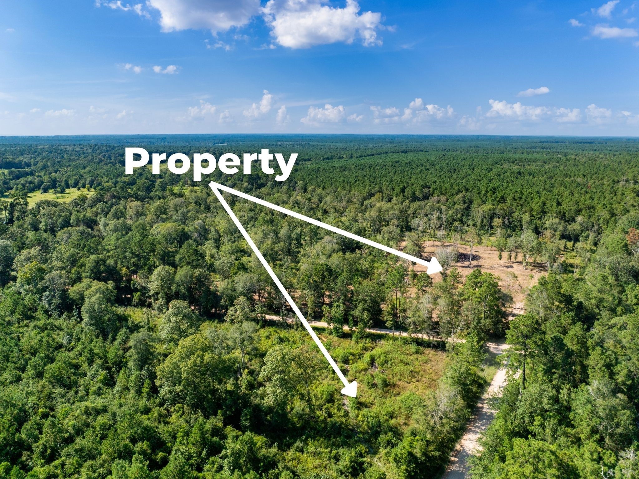 152 Maze Road Livingston TX 77351