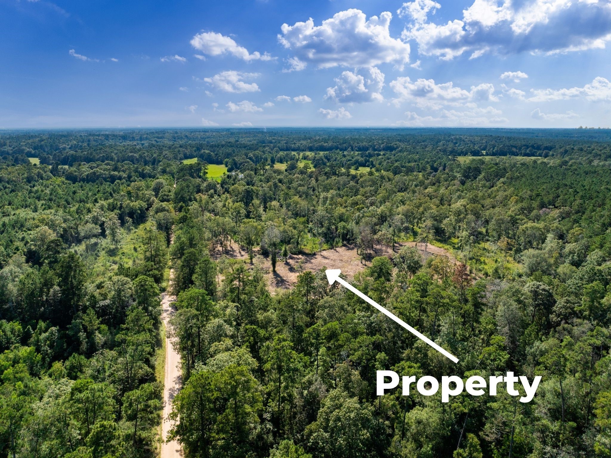 152 Maze Road Livingston TX 77351