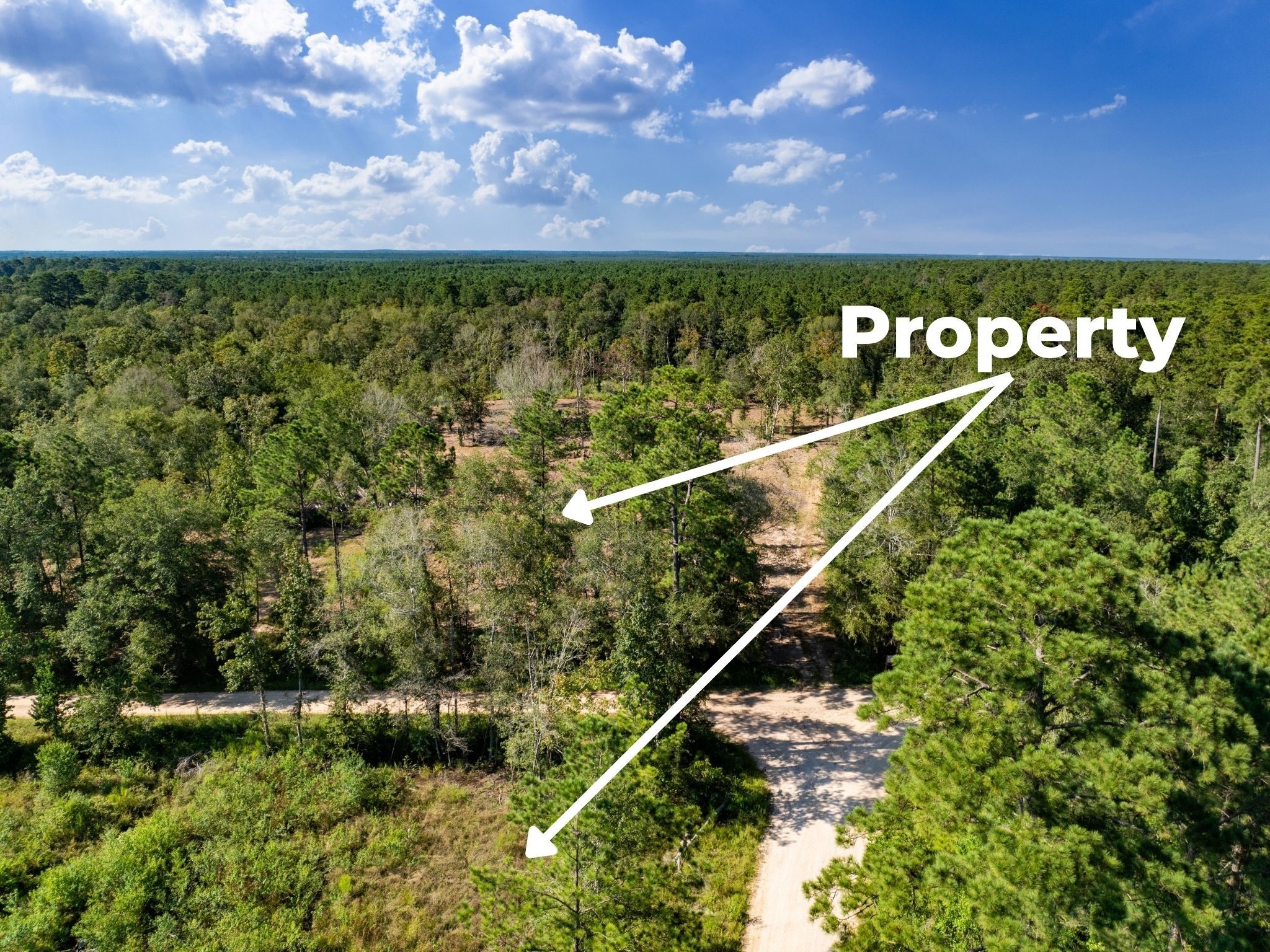 152 Maze Road Livingston TX 77351