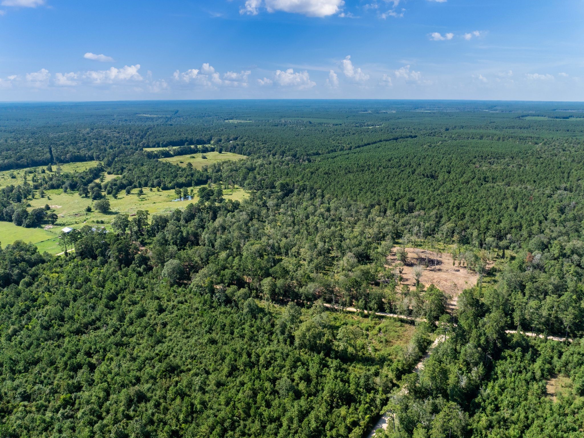 152 Maze Road Livingston TX 77351