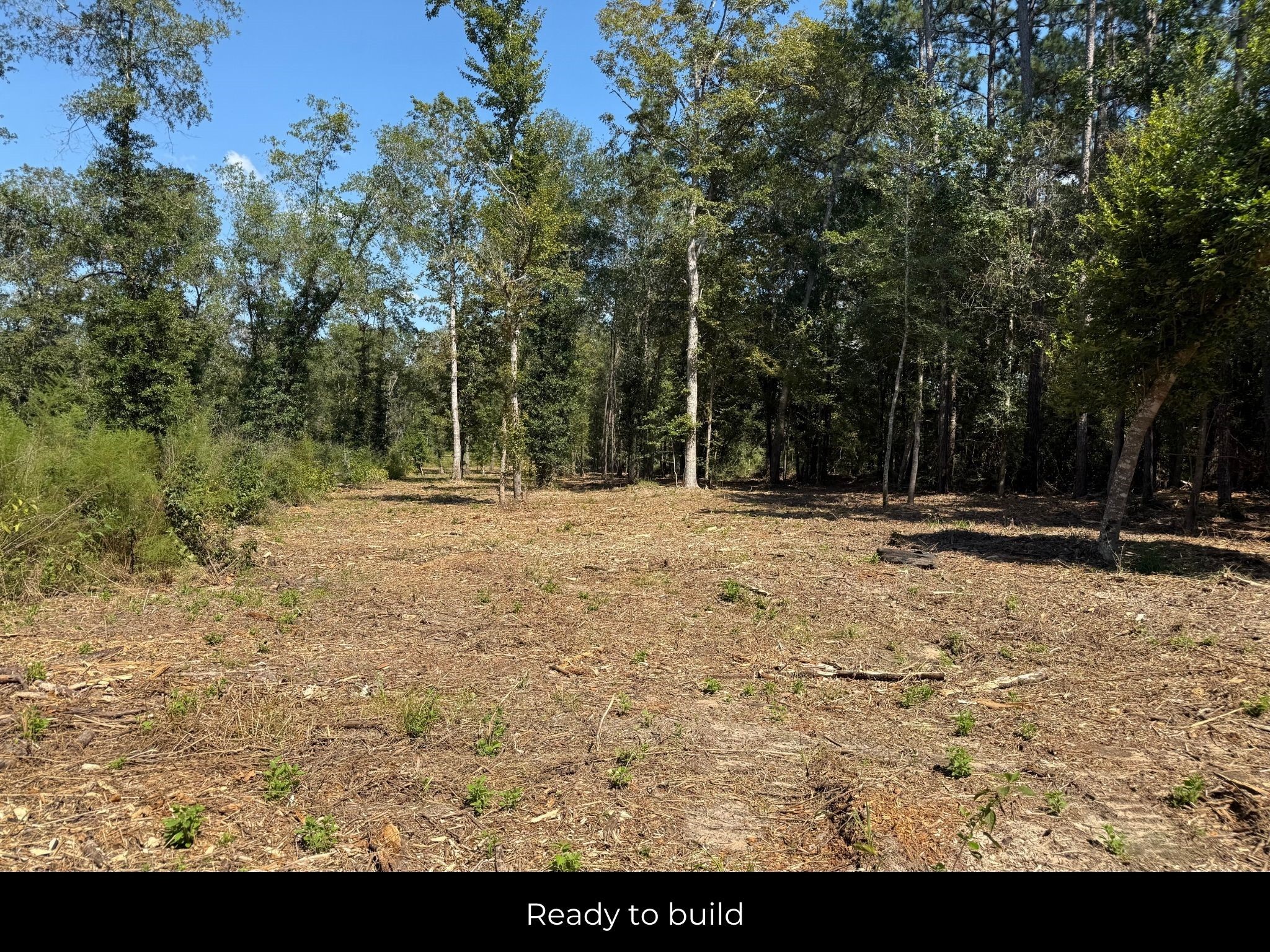152 Maze Road Livingston TX 77351