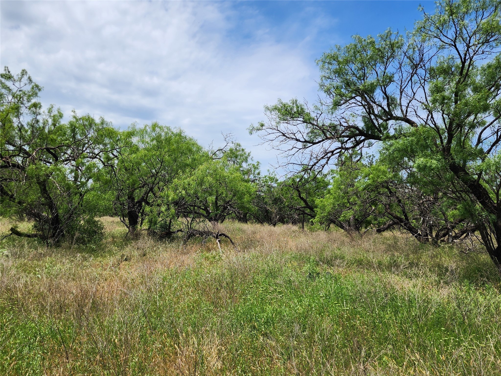 Tbd County Road 125 Cisco TX 76437
