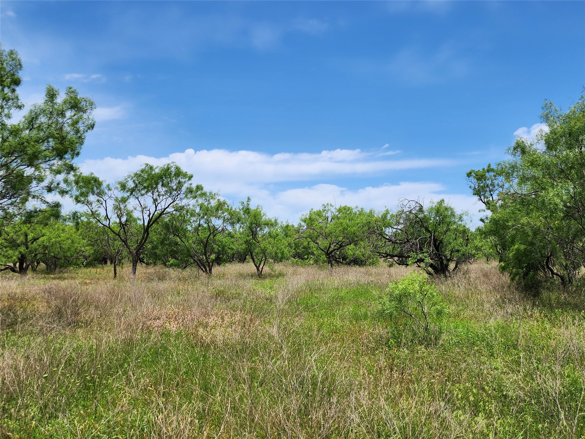 Tbd County Road 125 Cisco TX 76437