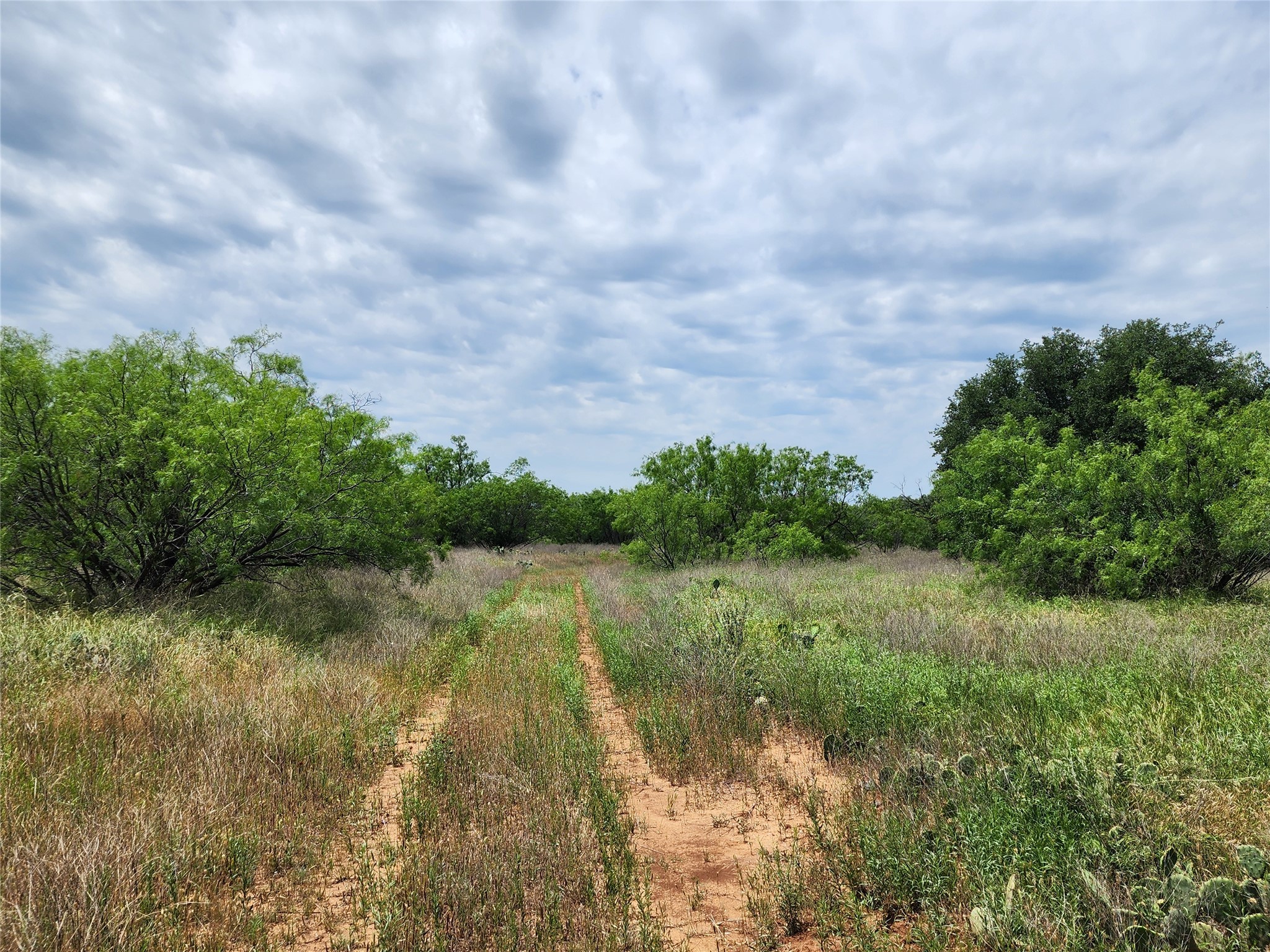 Tbd County Road 125 Cisco TX 76437