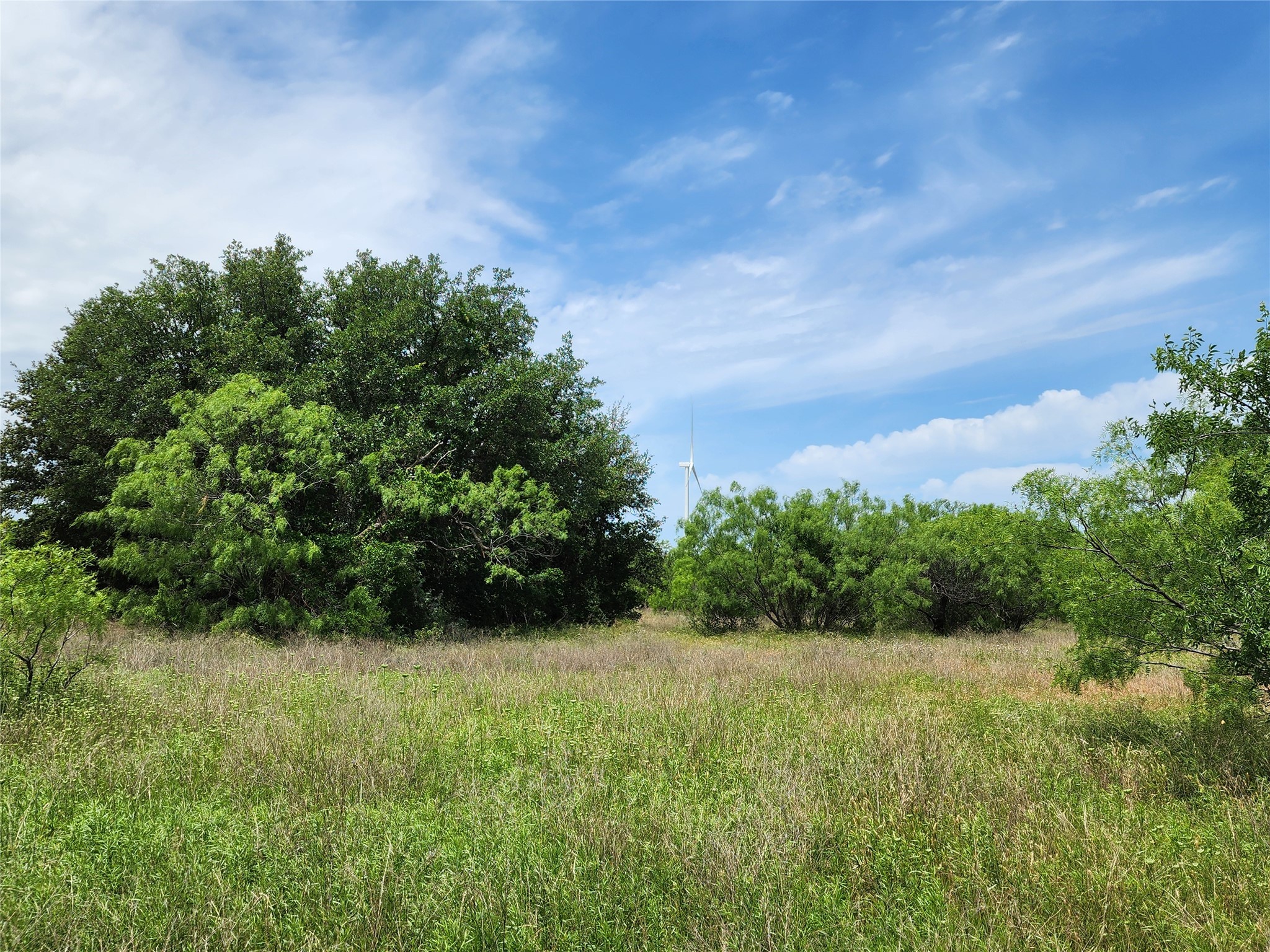 Tbd County Road 125 Cisco TX 76437