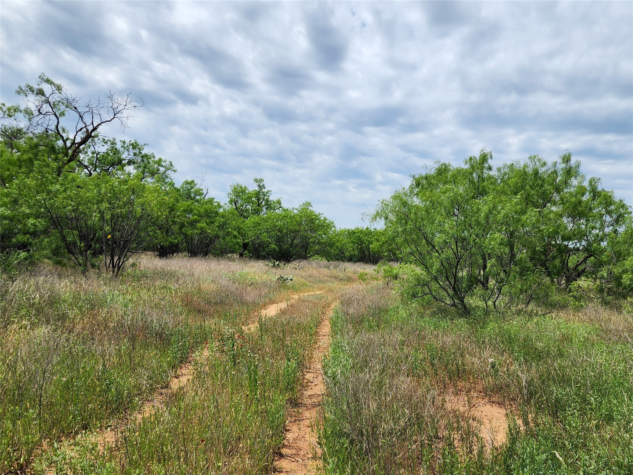 Tbd County Road 125 Cisco TX 76437