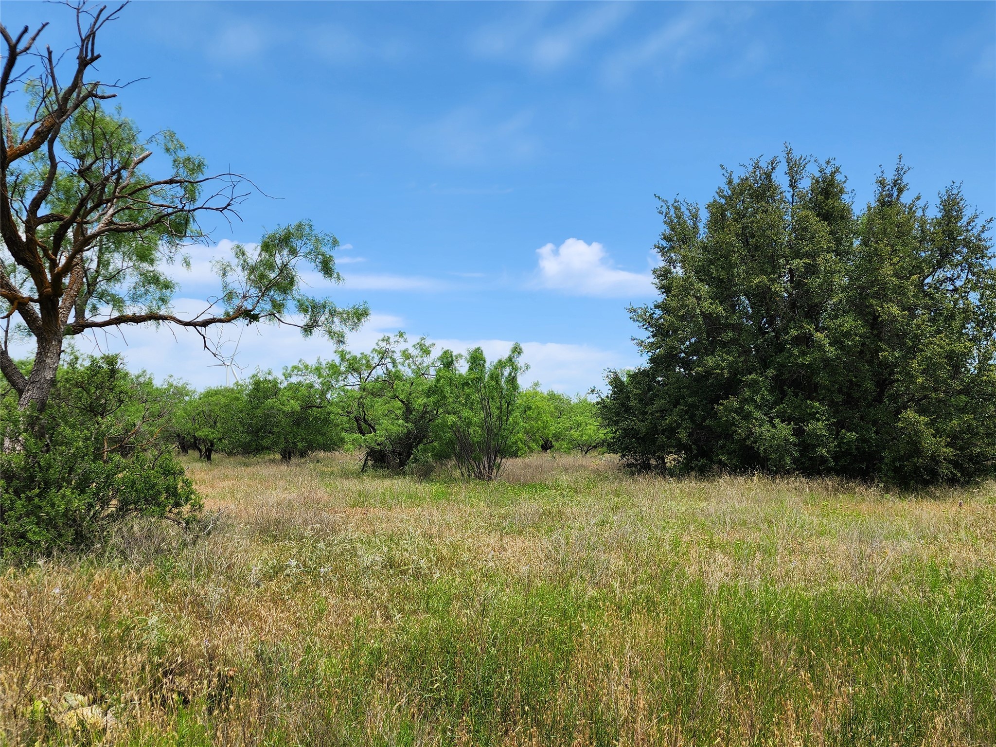 Tbd County Road 125 Cisco TX 76437