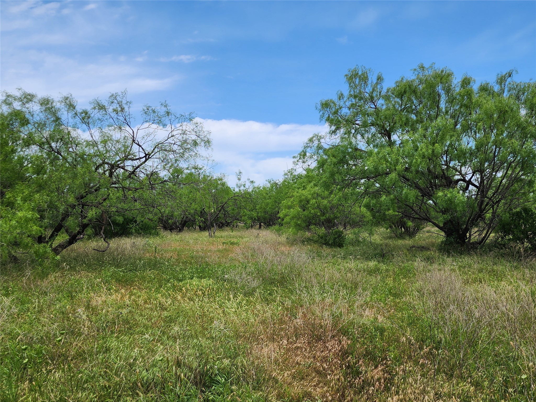 Tbd County Road 125 Cisco TX 76437