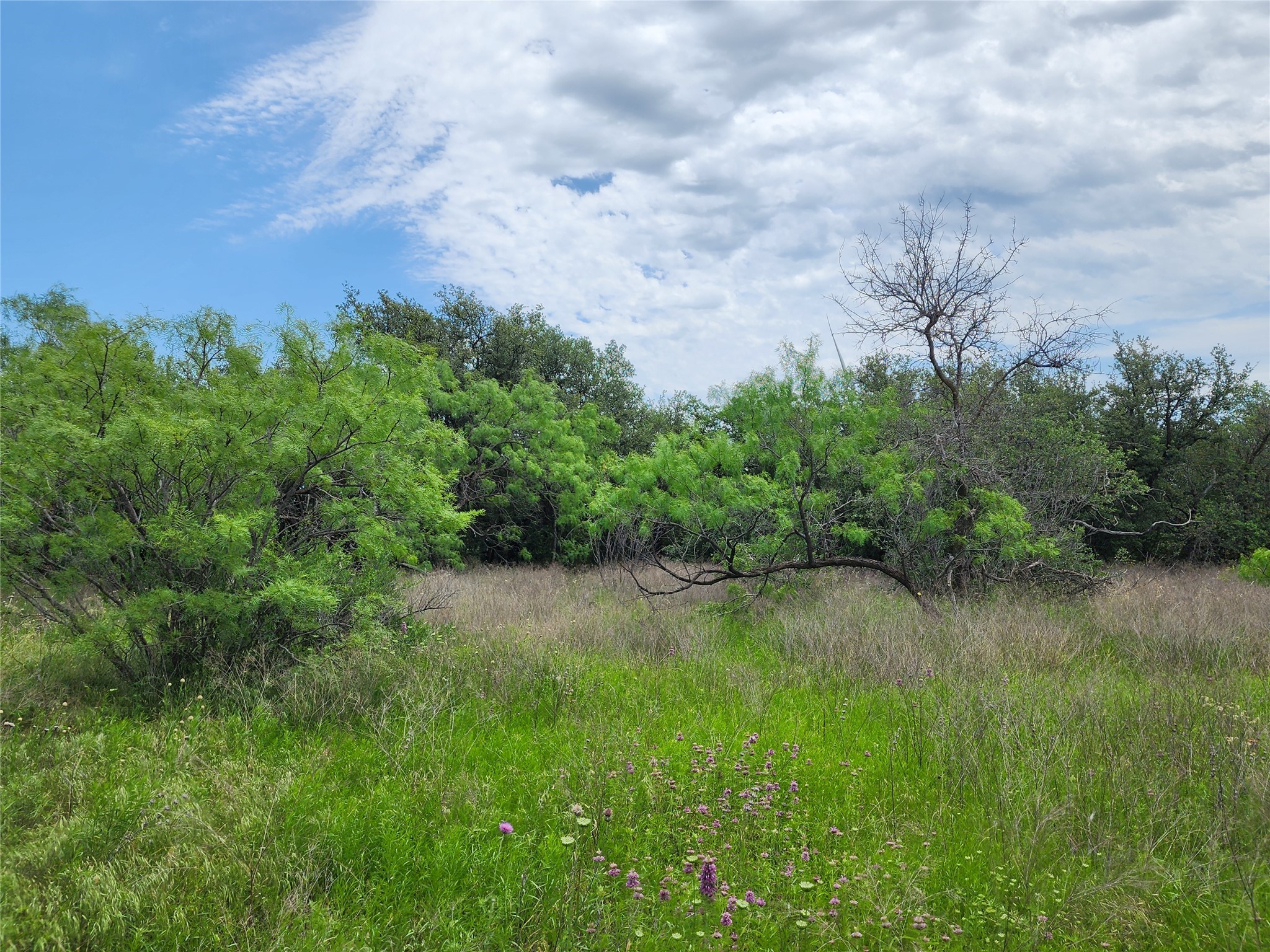Tbd County Road 125 Cisco TX 76437