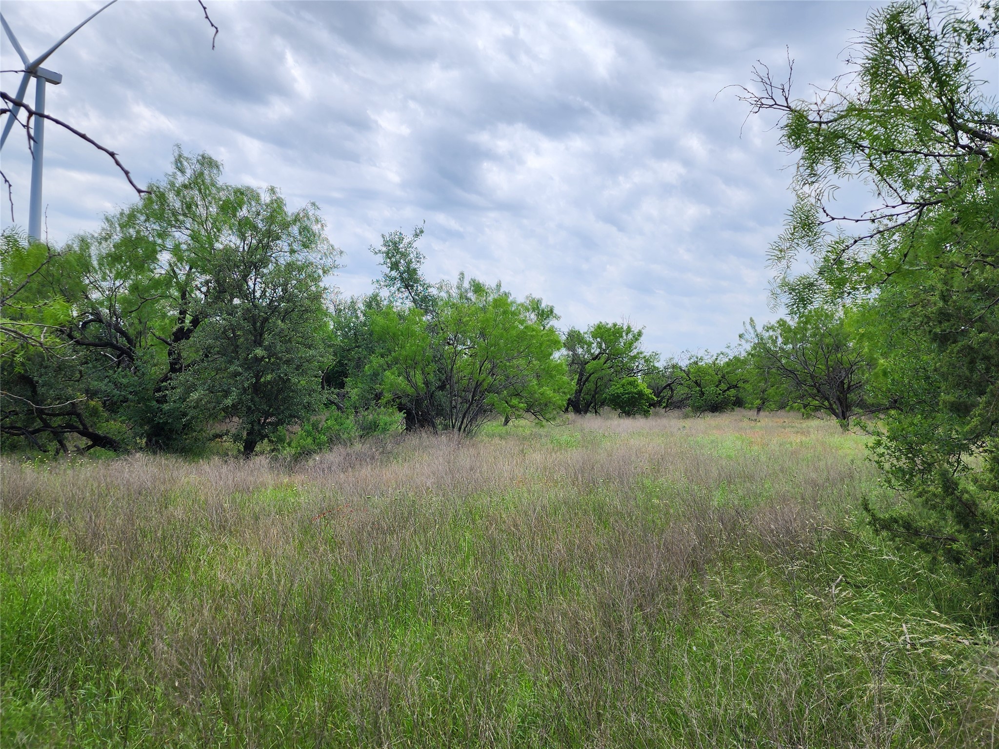 Tbd County Road 125 Cisco TX 76437