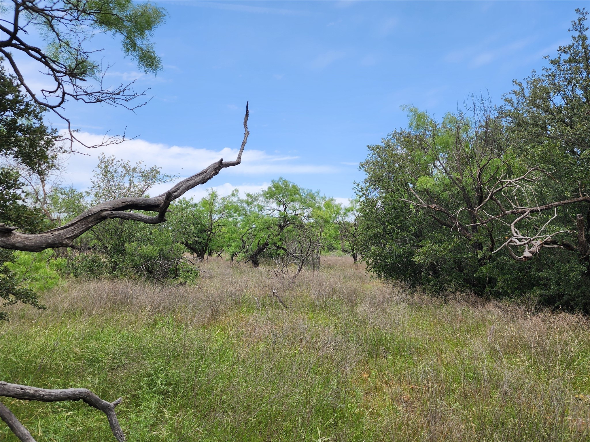 Tbd County Road 125 Cisco TX 76437