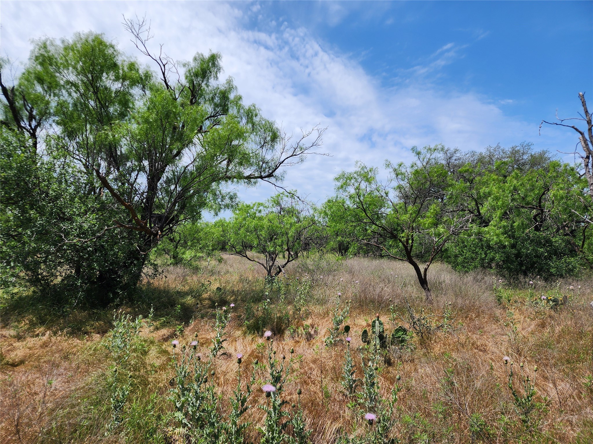 Tbd County Road 125 Cisco TX 76437