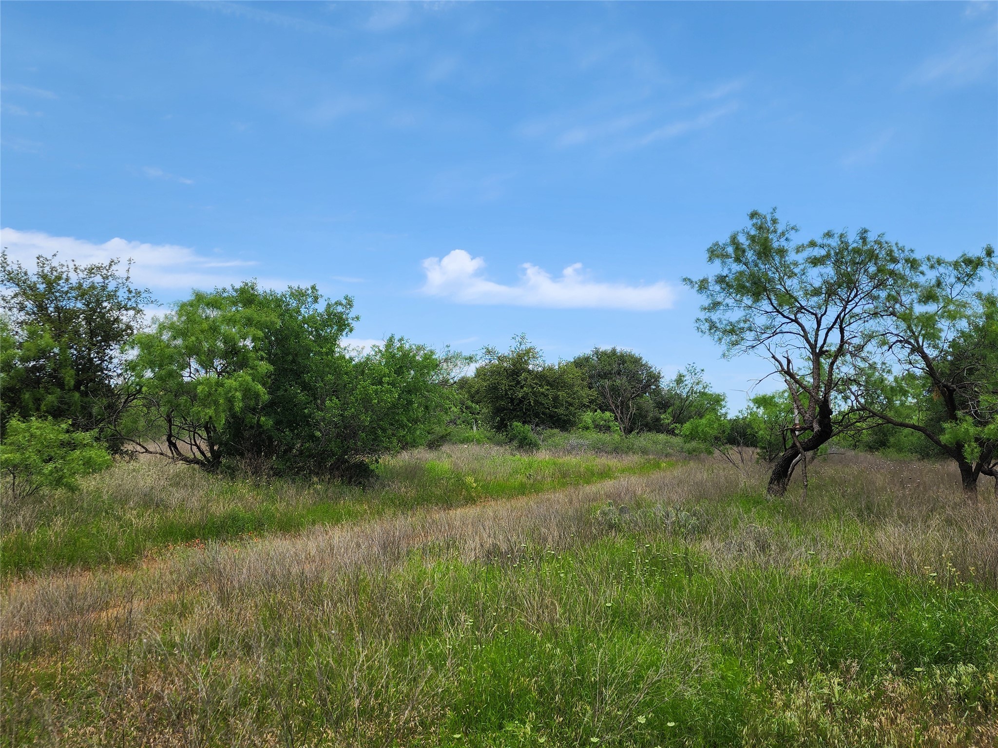 Tbd County Road 125 Cisco TX 76437