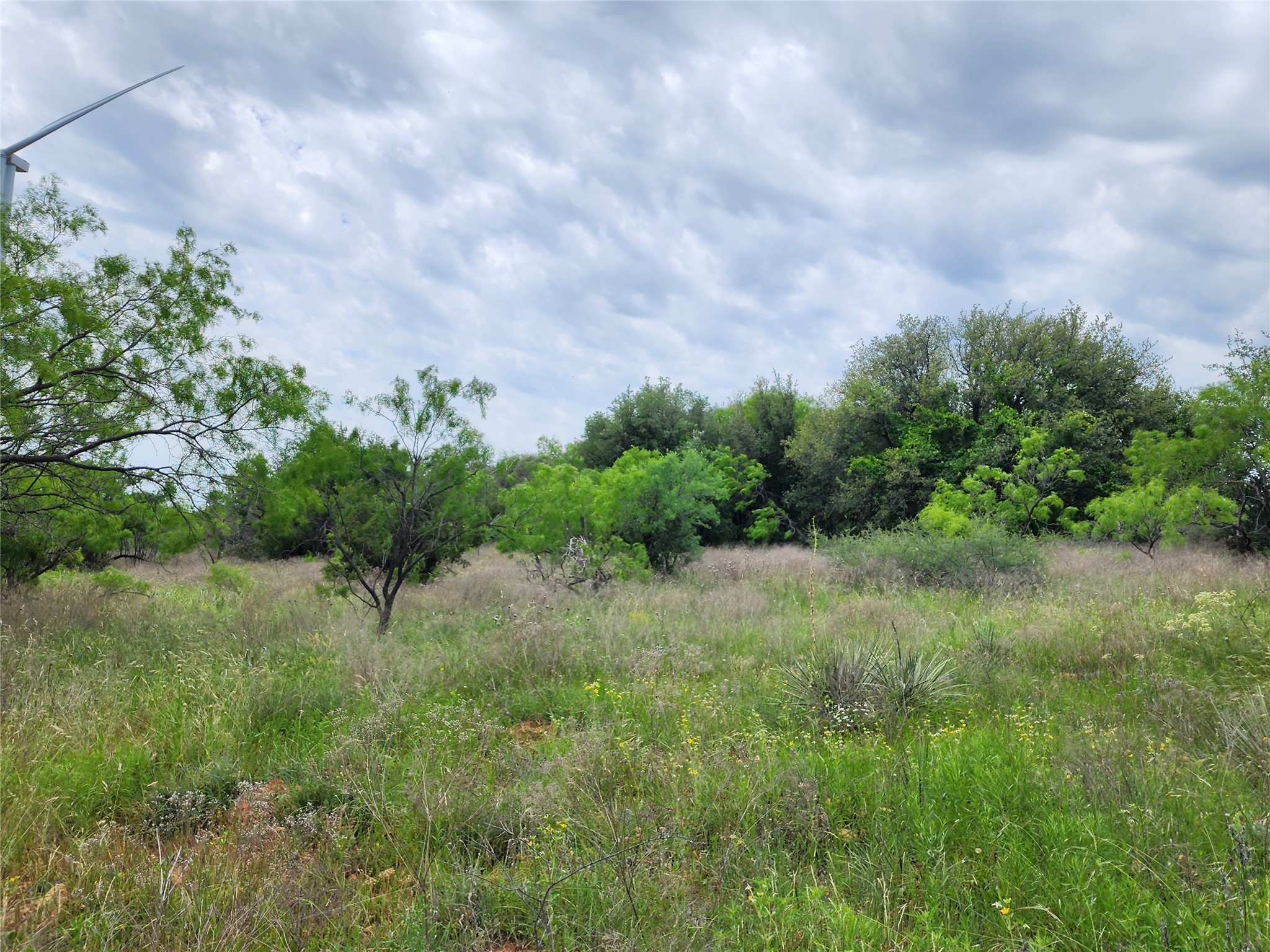 Tbd County Road 125 Cisco TX 76437
