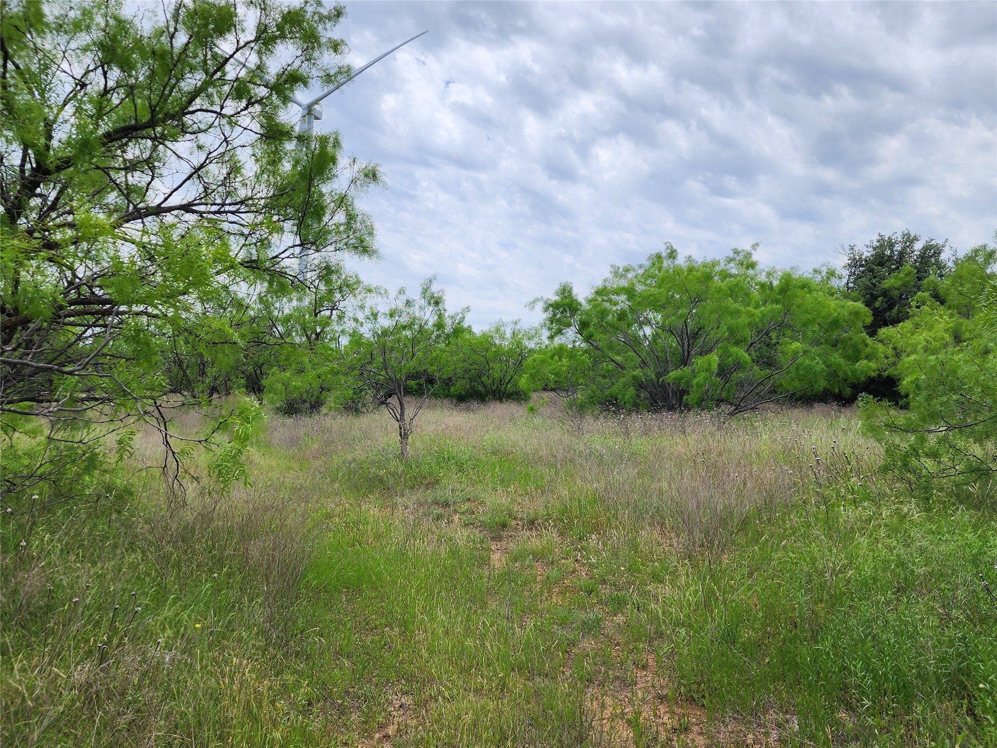 Tbd County Road 125 Cisco TX 76437