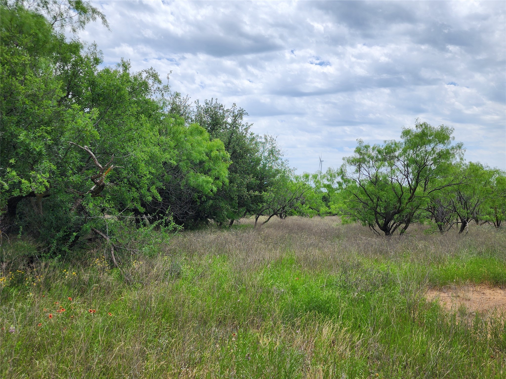 Tbd County Road 125 Cisco TX 76437