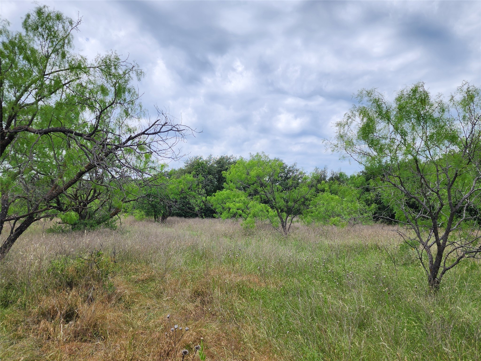 Tbd County Road 125 Cisco TX 76437