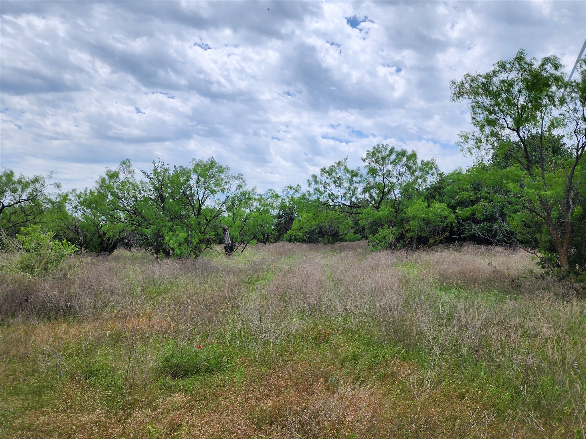 Tbd County Road 125 Cisco TX 76437