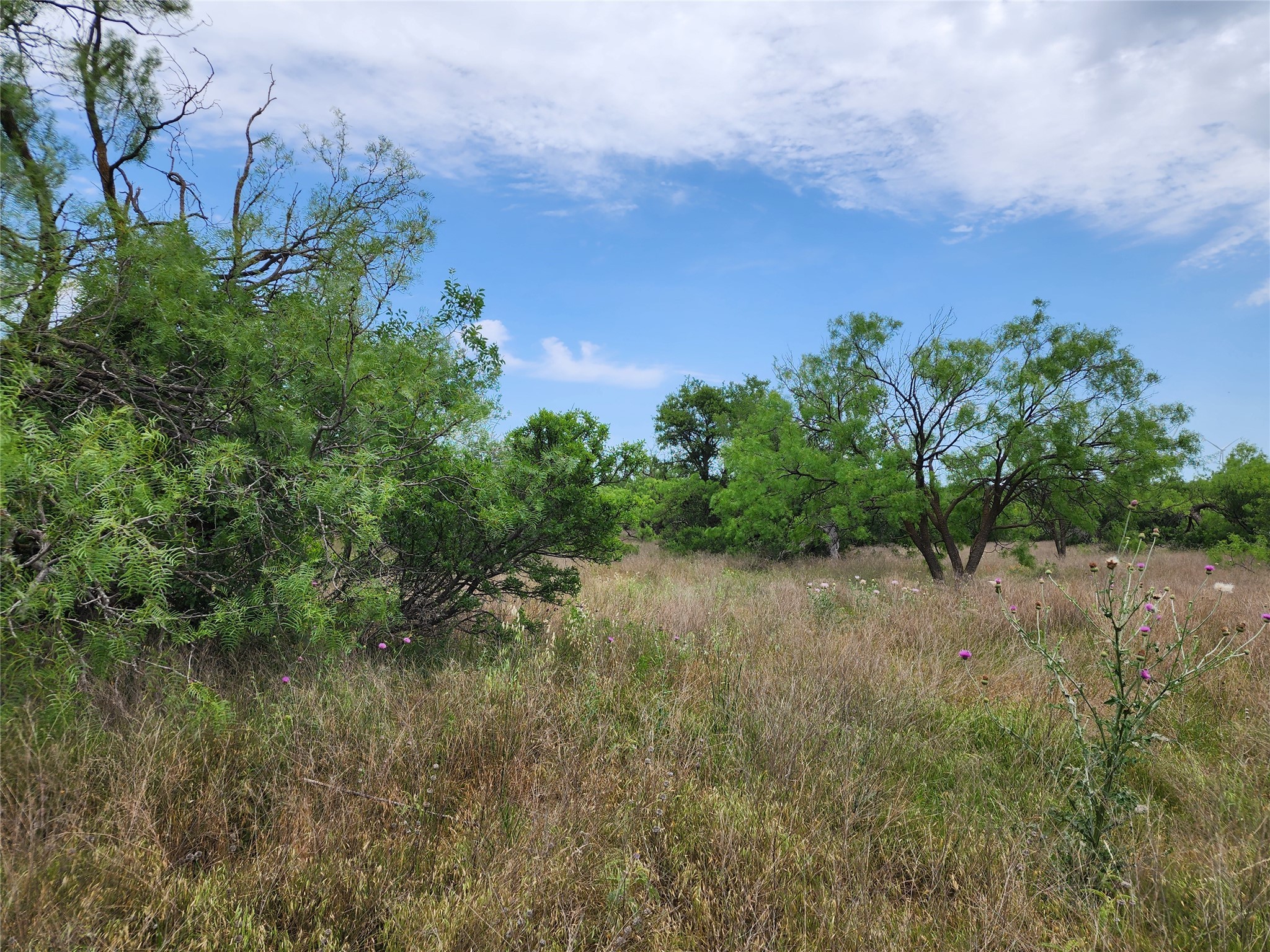 Tbd County Road 125 Cisco TX 76437