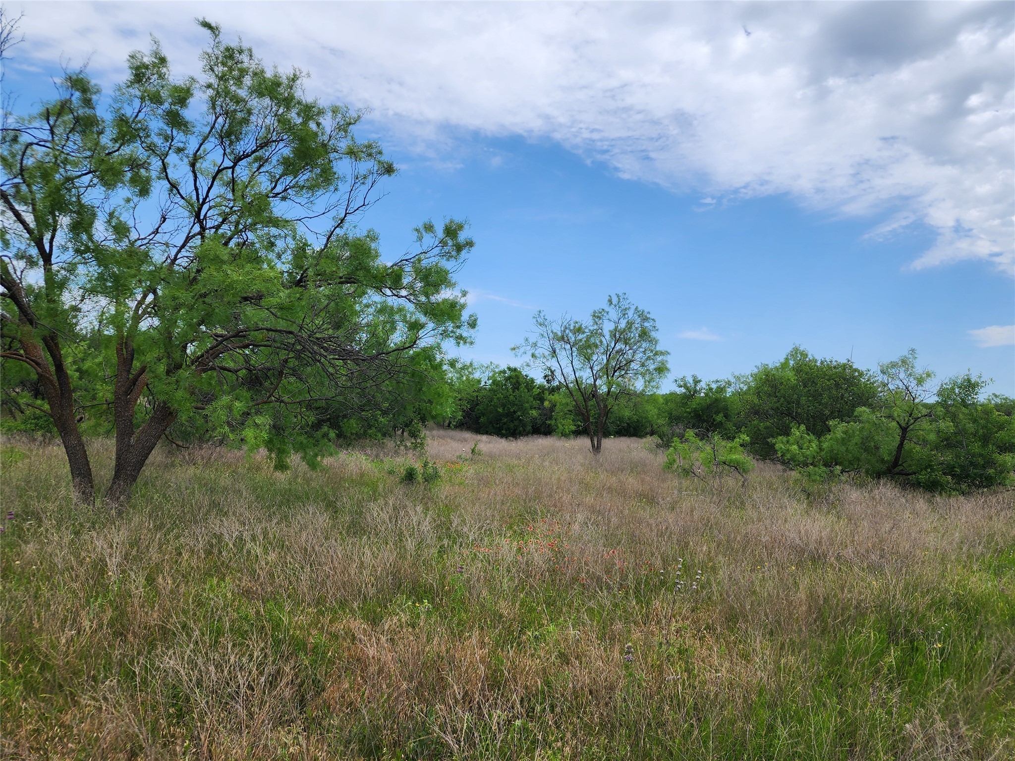 Tbd County Road 125 Cisco TX 76437