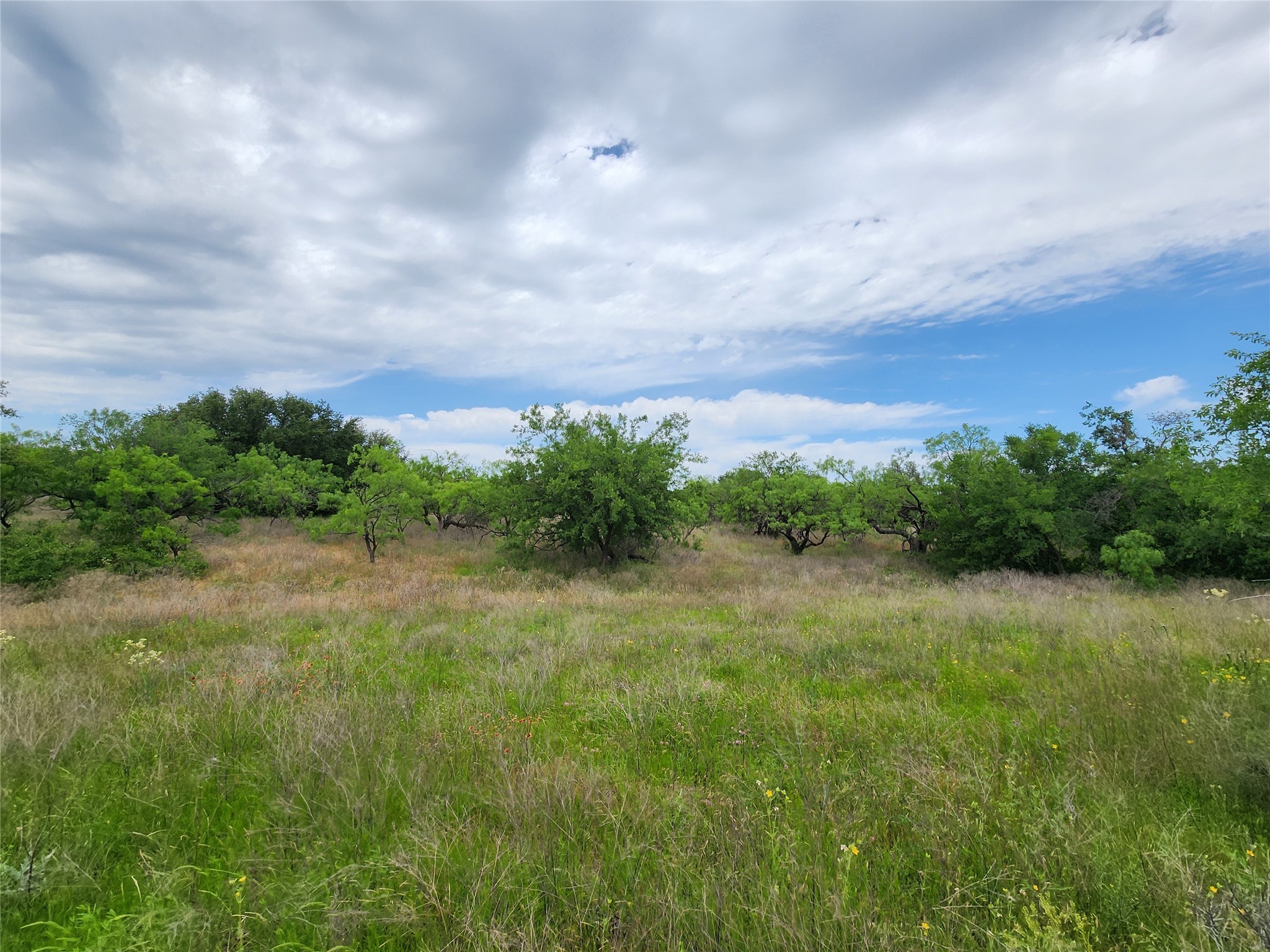 Tbd County Road 125 Cisco TX 76437