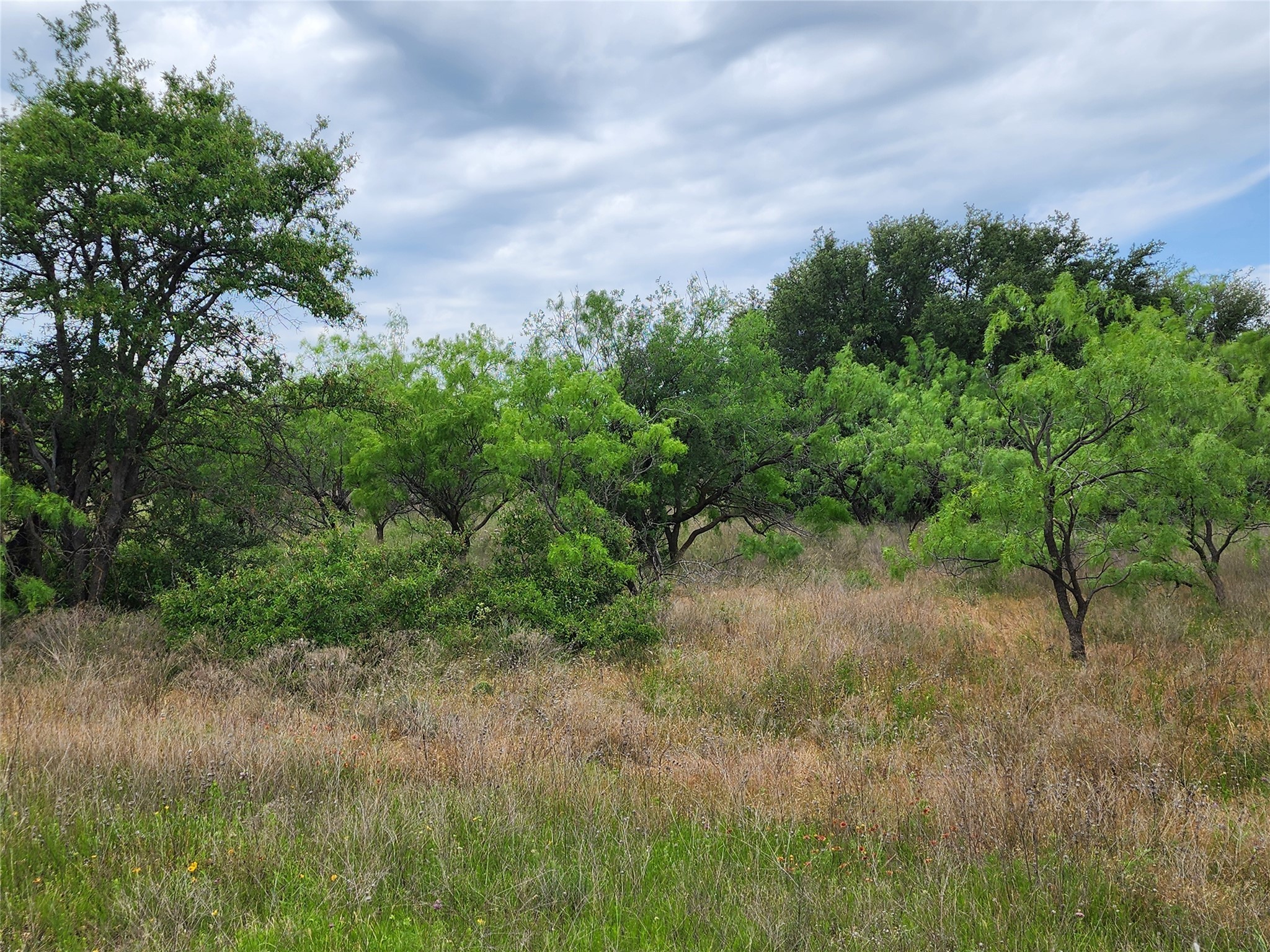 Tbd County Road 125 Cisco TX 76437