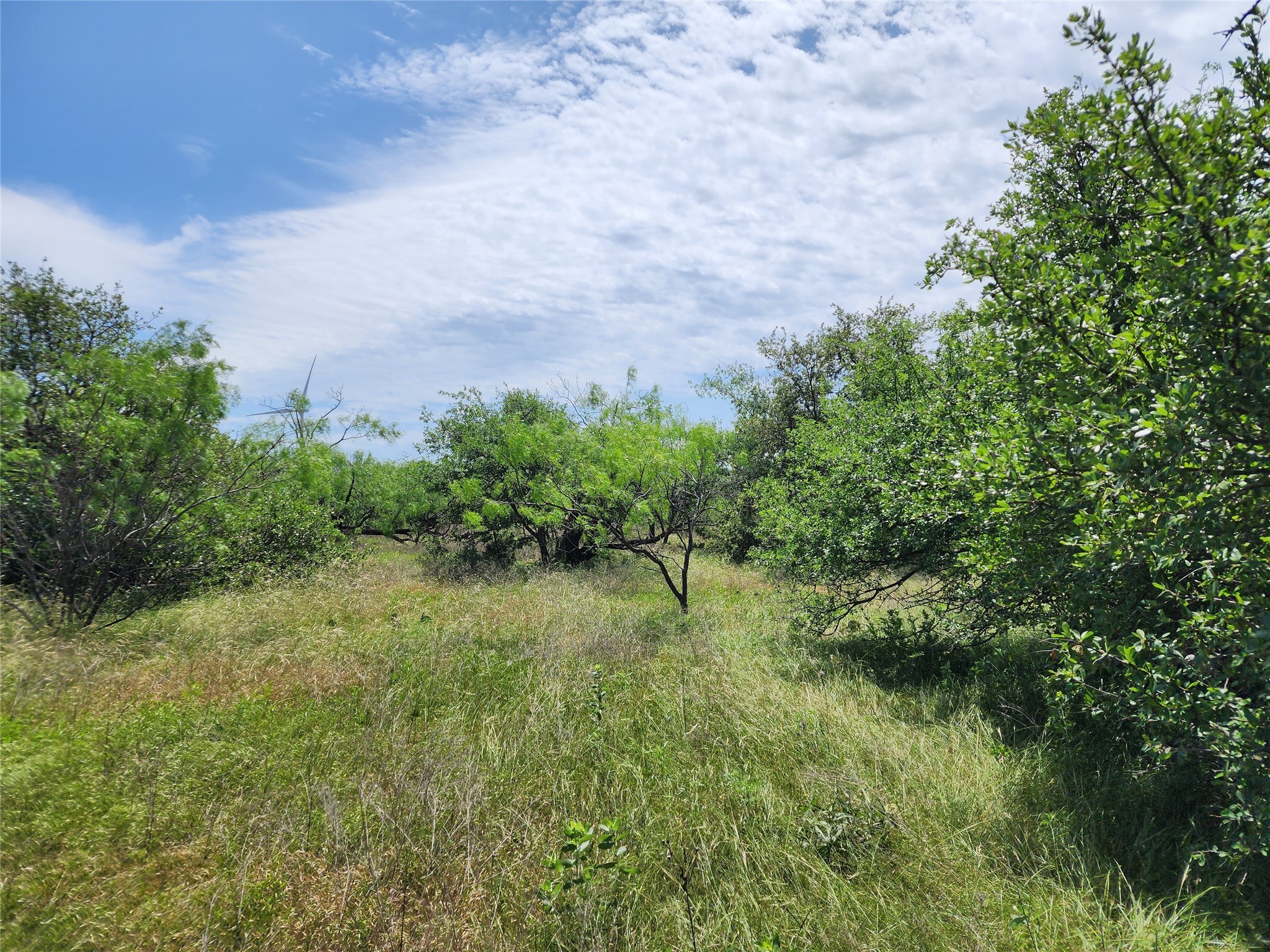 Tbd County Road 125 Cisco TX 76437