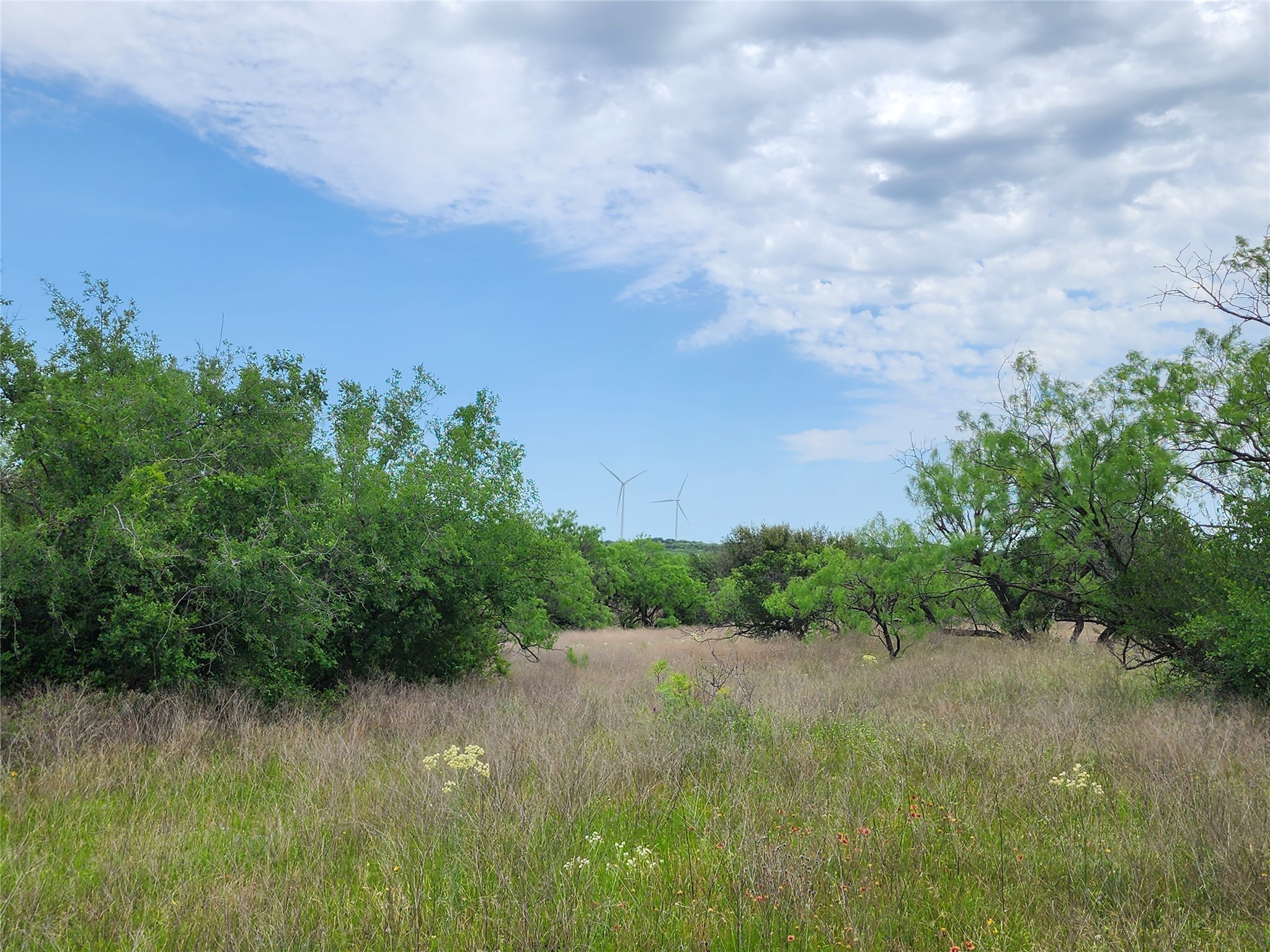 Tbd County Road 125 Cisco TX 76437