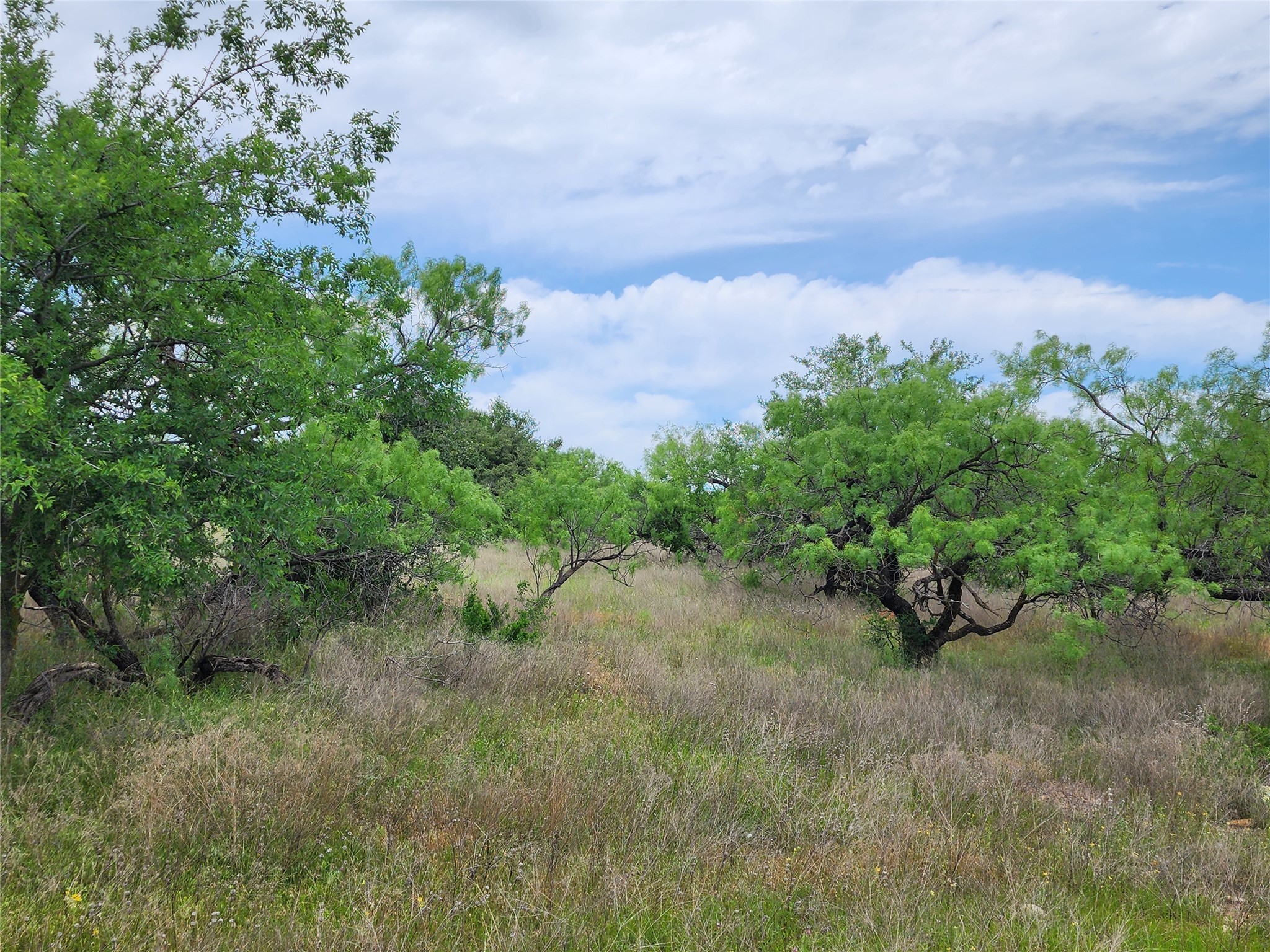 Tbd County Road 125 Cisco TX 76437