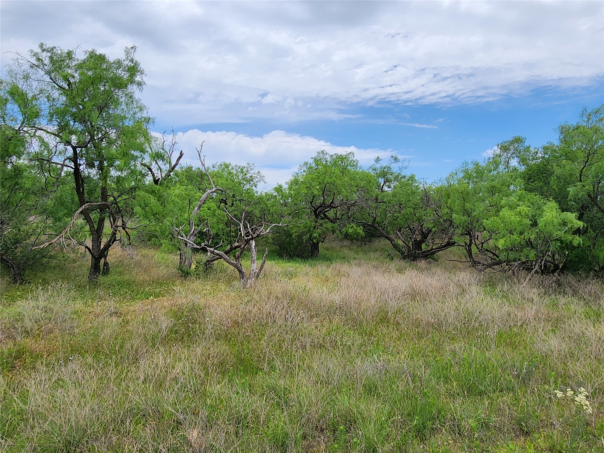 Tbd County Road 125 Cisco TX 76437