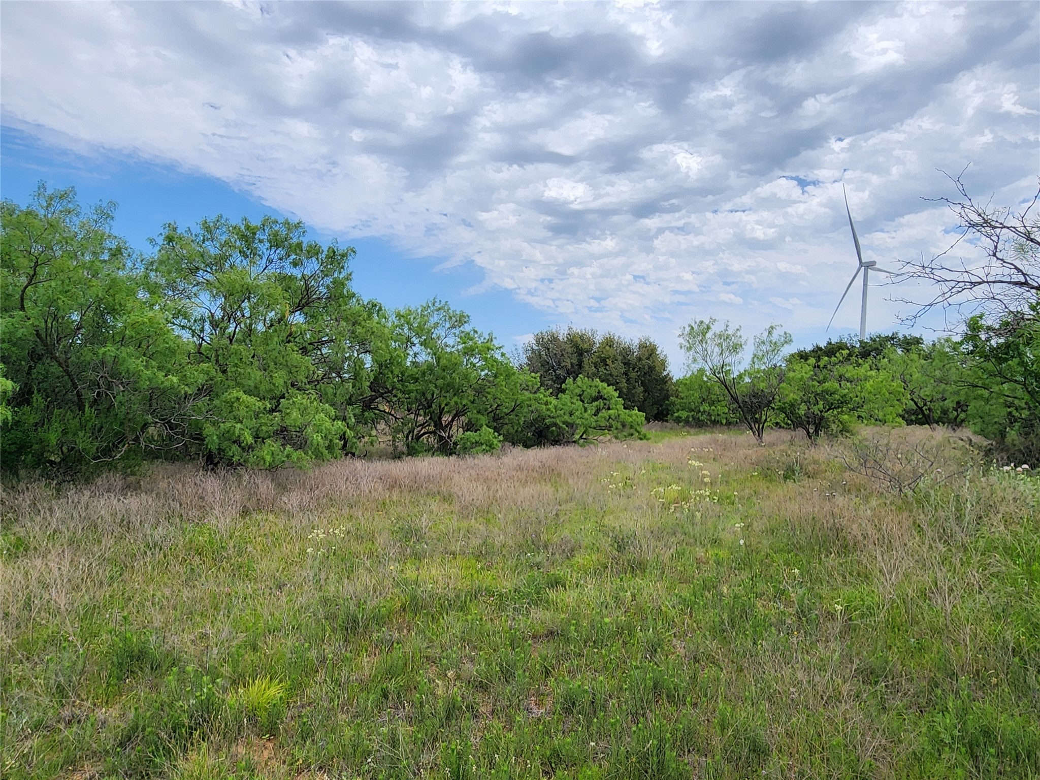 Tbd County Road 125 Cisco TX 76437