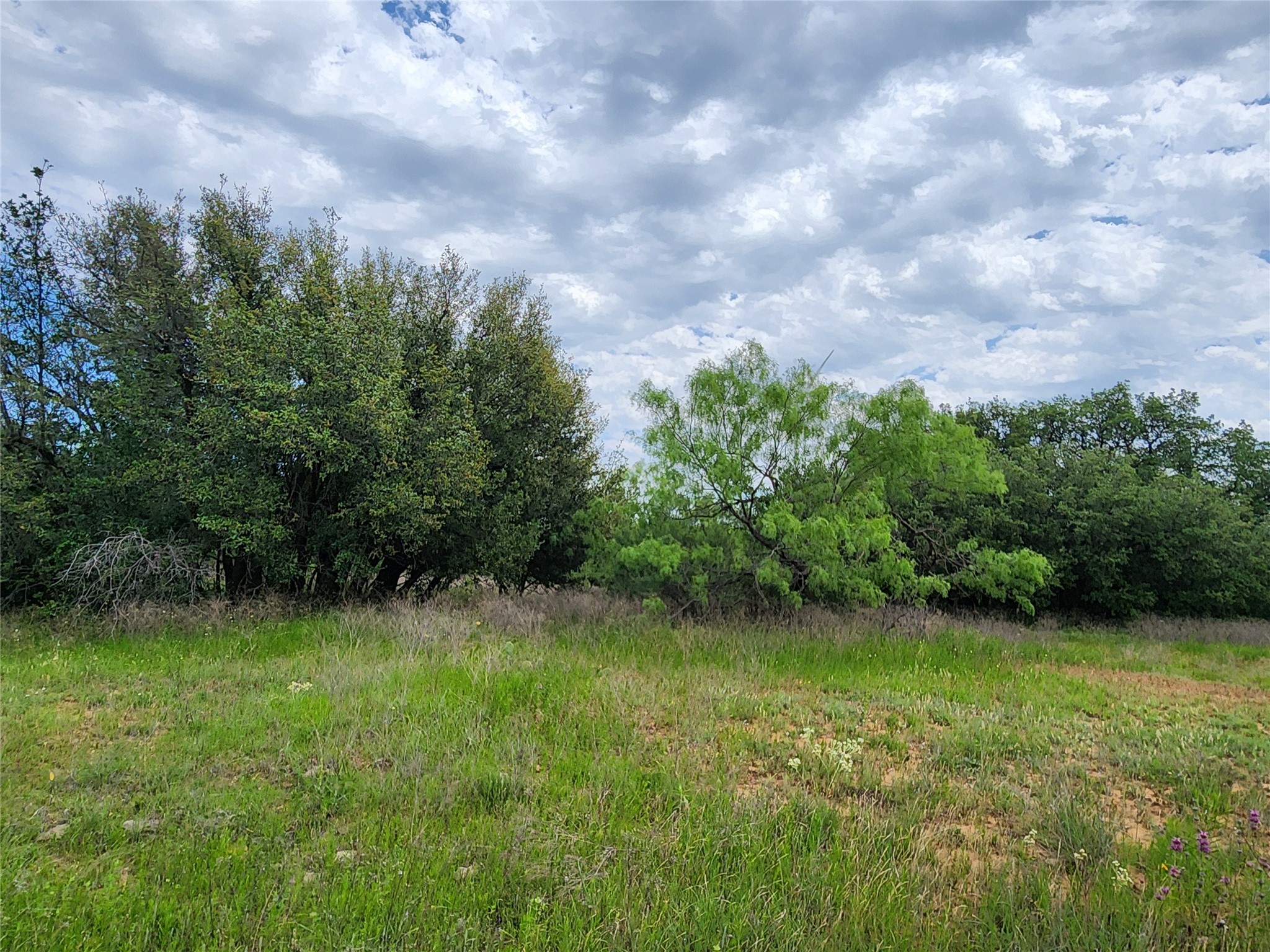 Tbd County Road 125 Cisco TX 76437