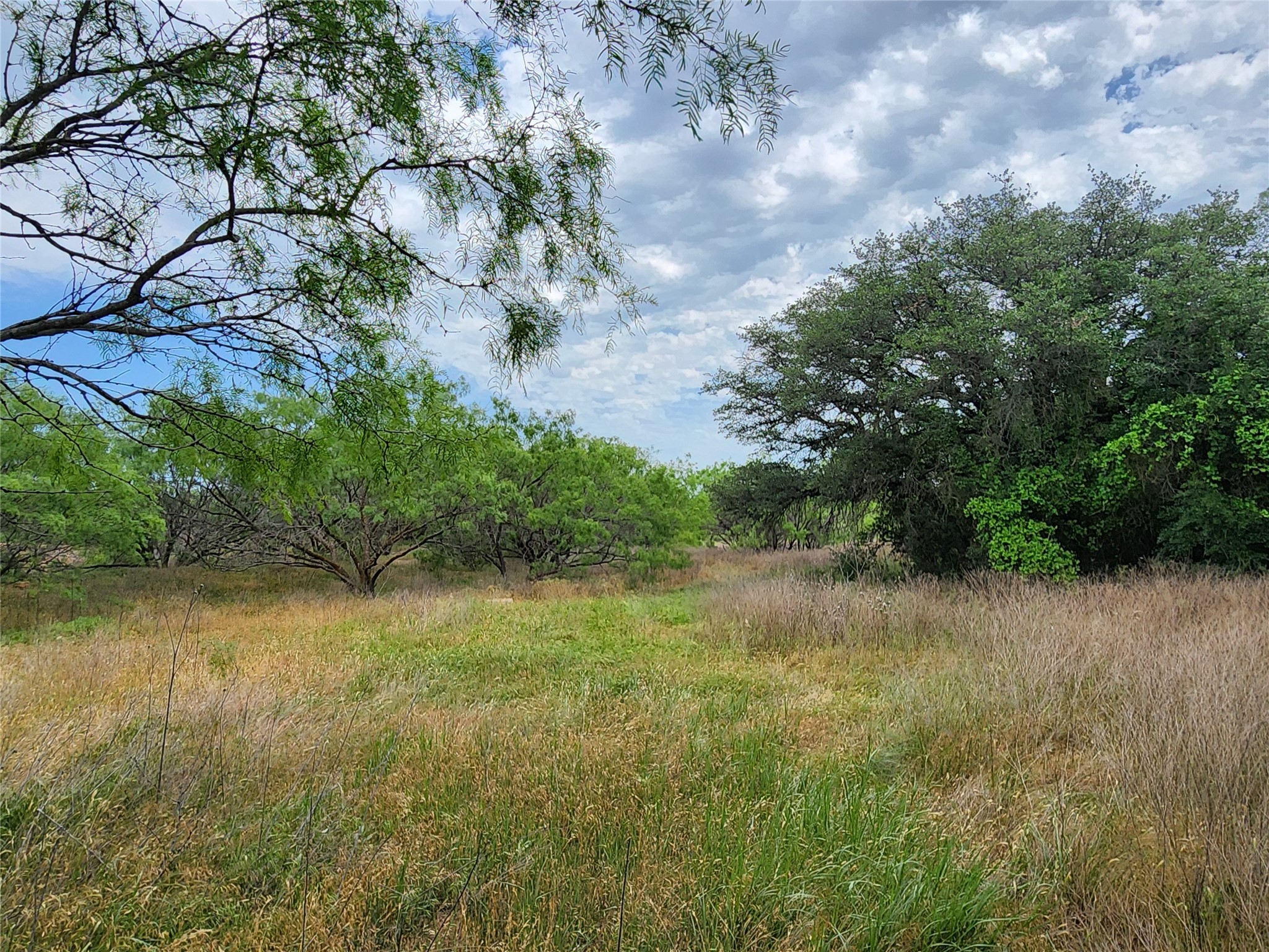 Tbd County Road 125 Cisco TX 76437