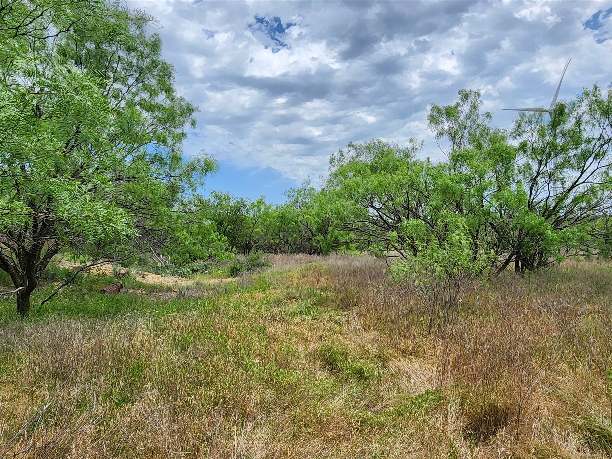 Tbd County Road 125 Cisco TX 76437