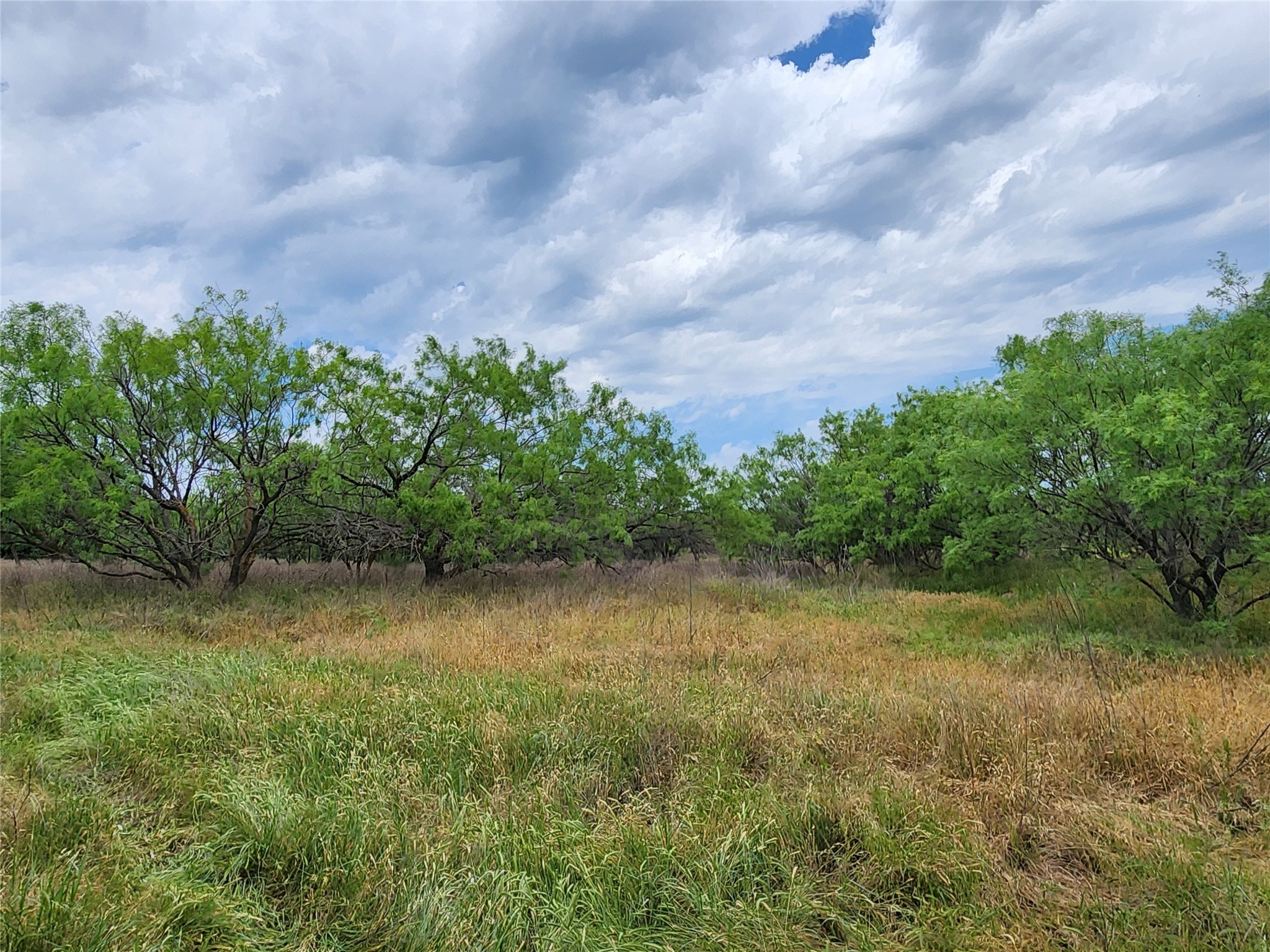 Tbd County Road 125 Cisco TX 76437