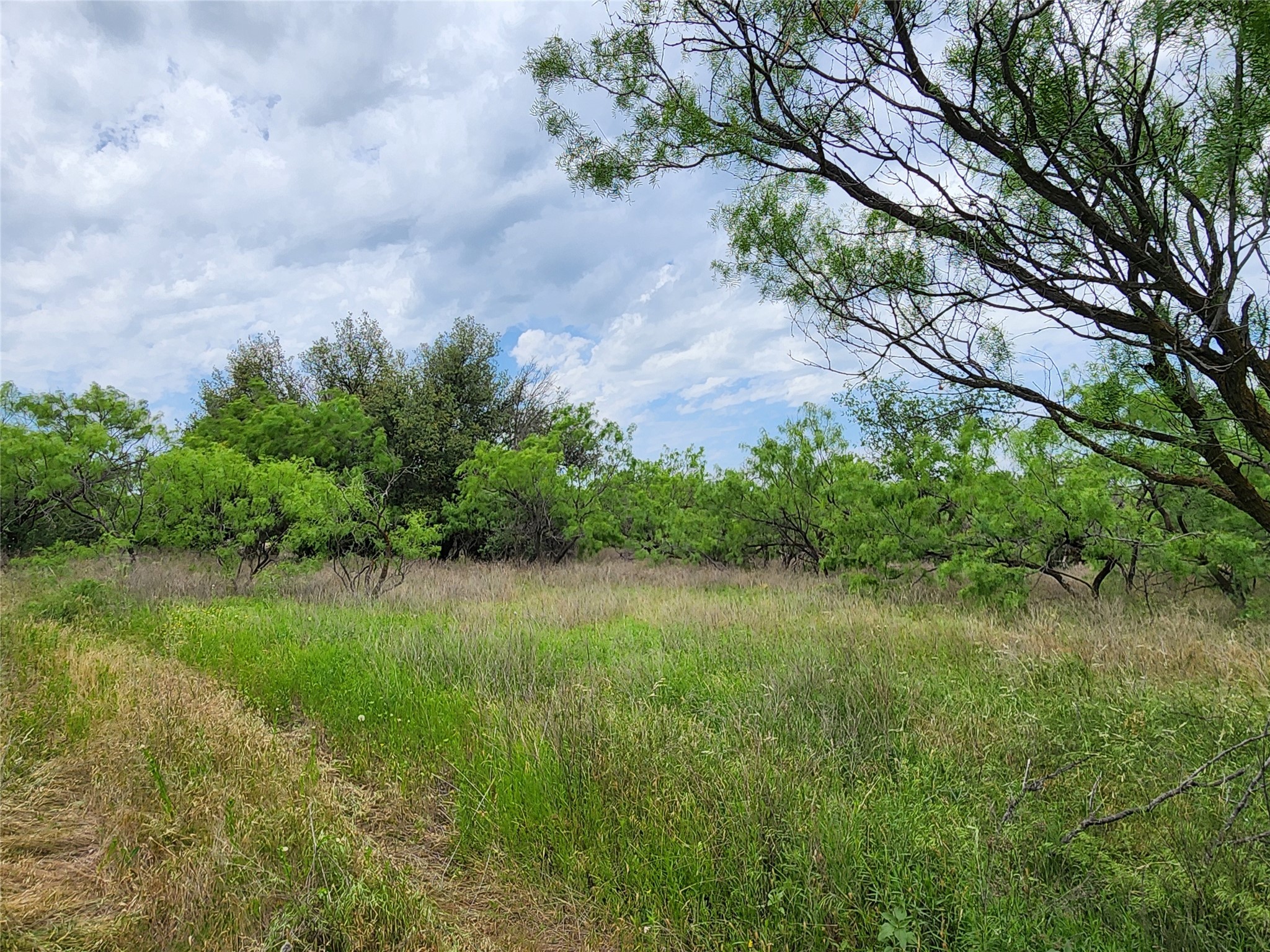 Tbd County Road 125 Cisco TX 76437