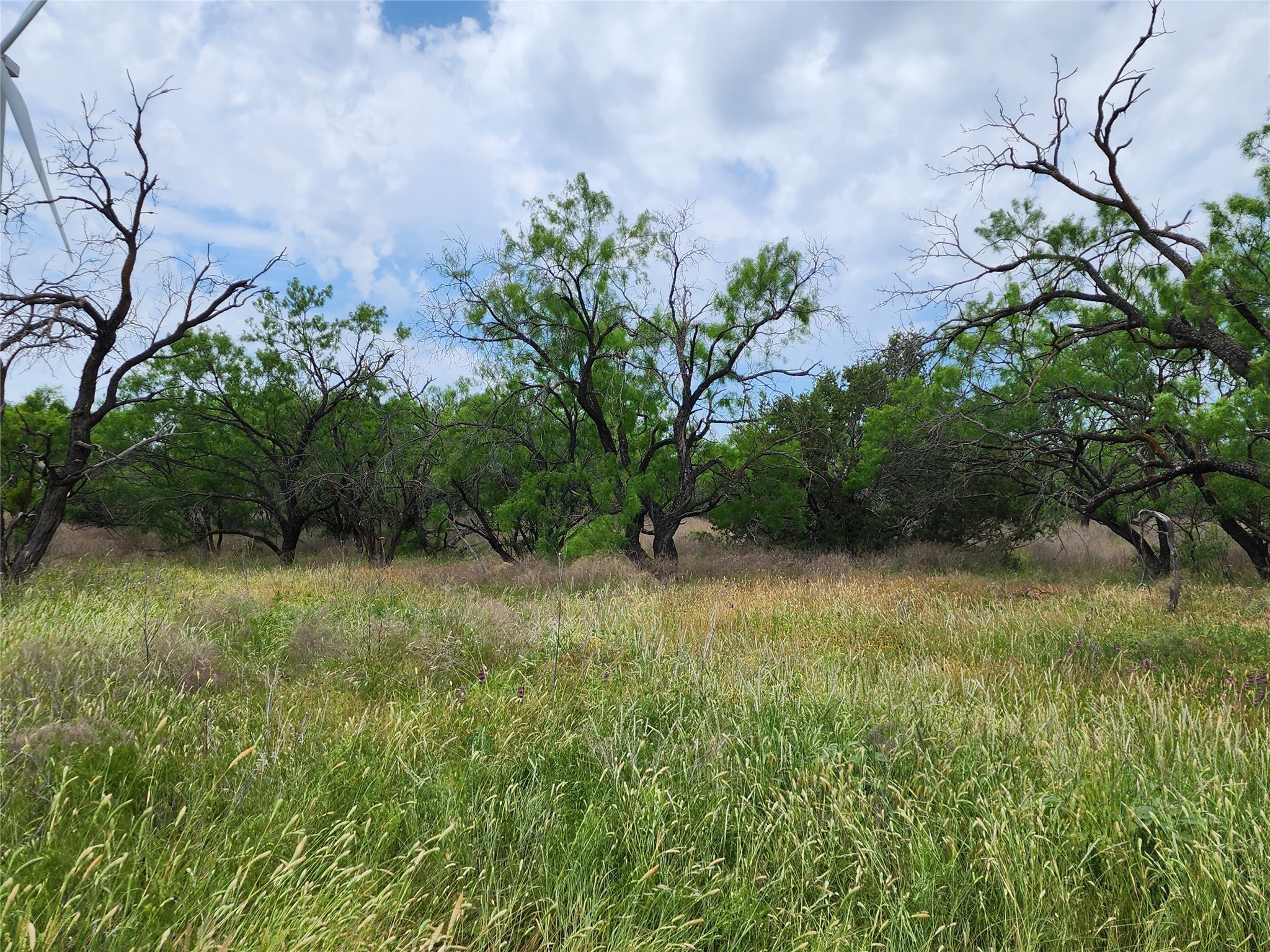 Tbd County Road 125 Cisco TX 76437