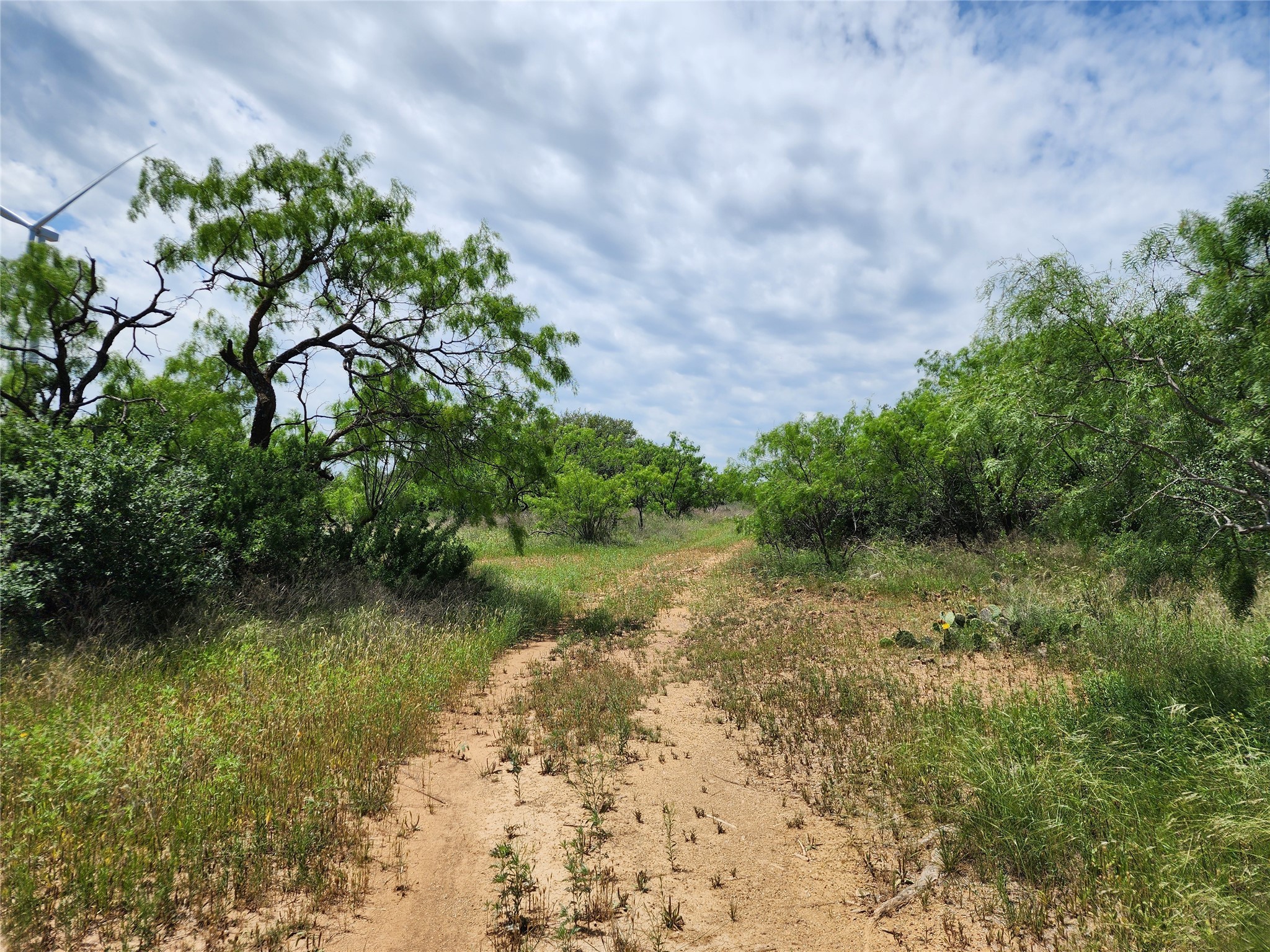 Tbd County Road 125 Cisco TX 76437