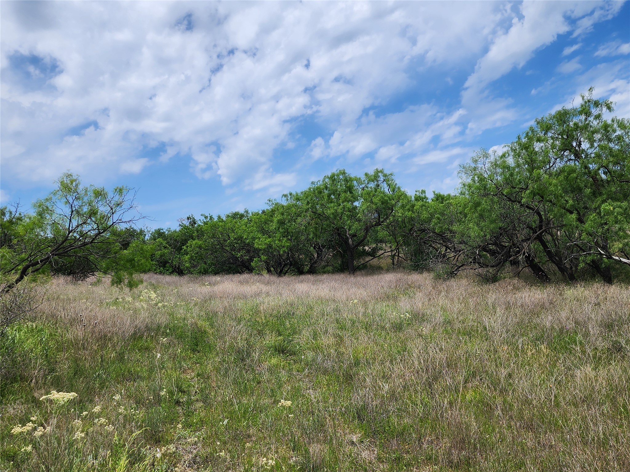 Tbd County Road 125 Cisco TX 76437