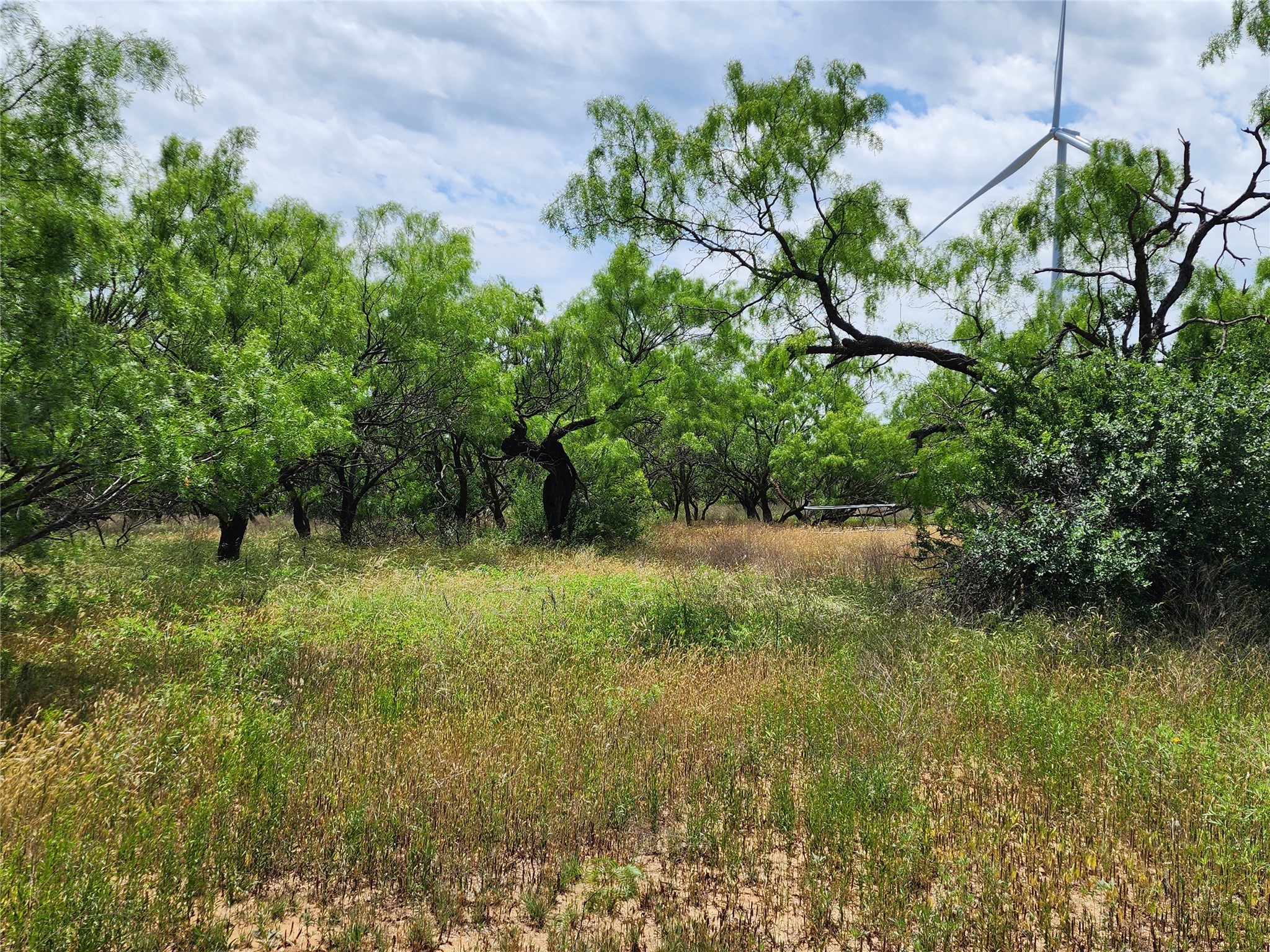 Tbd County Road 125 Cisco TX 76437