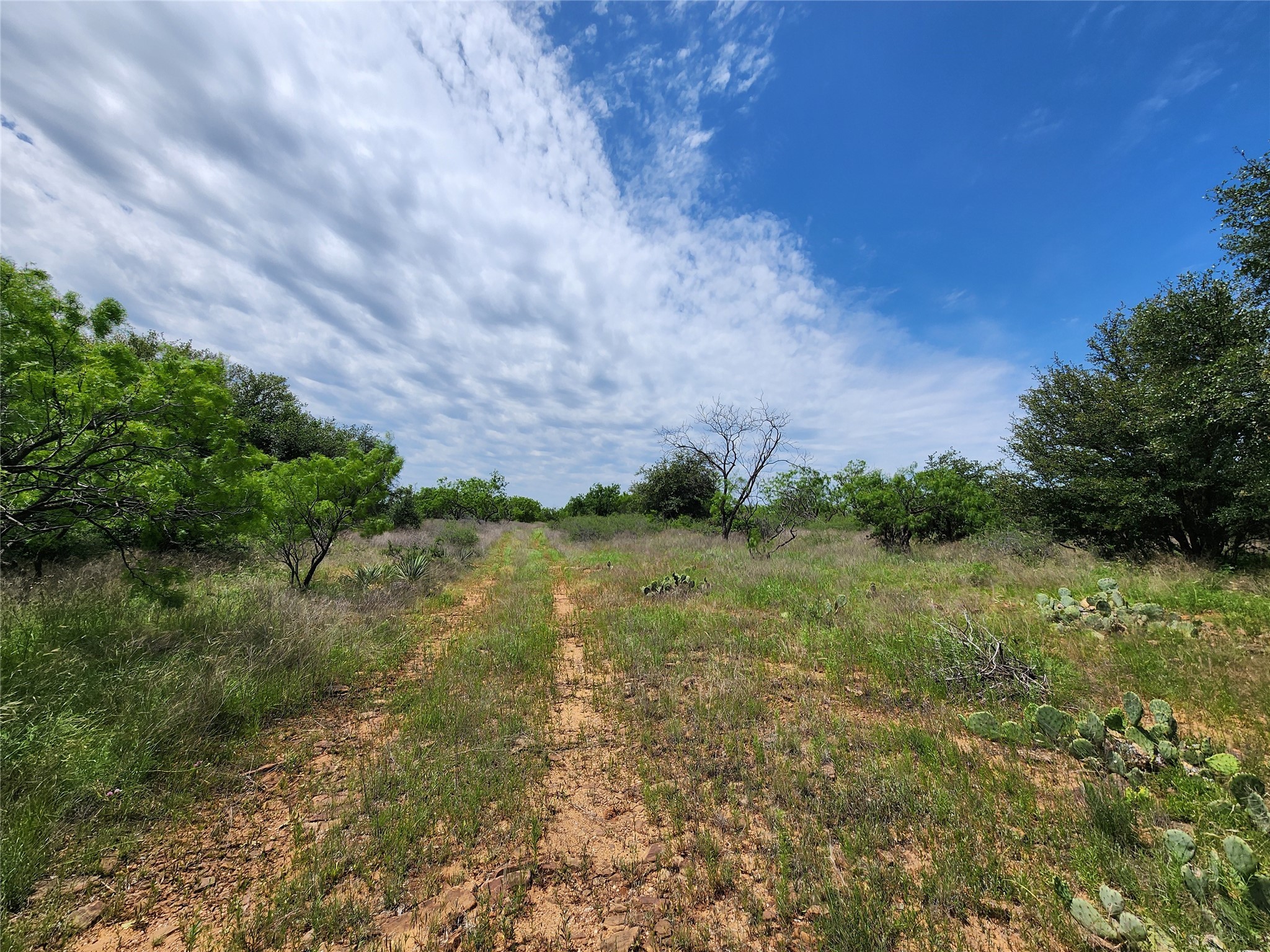 Tbd County Road 125 Cisco TX 76437