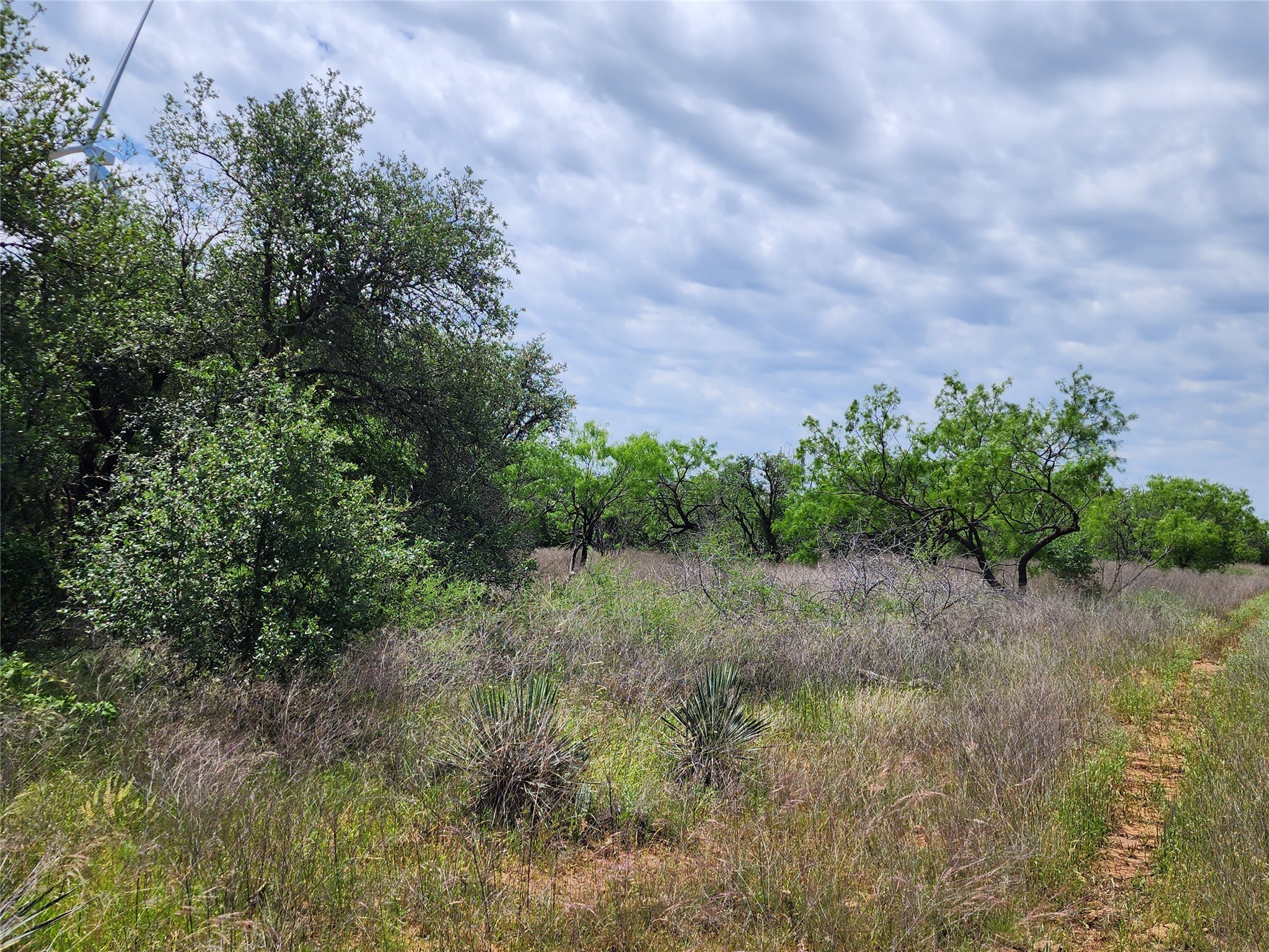 Tbd County Road 125 Cisco TX 76437