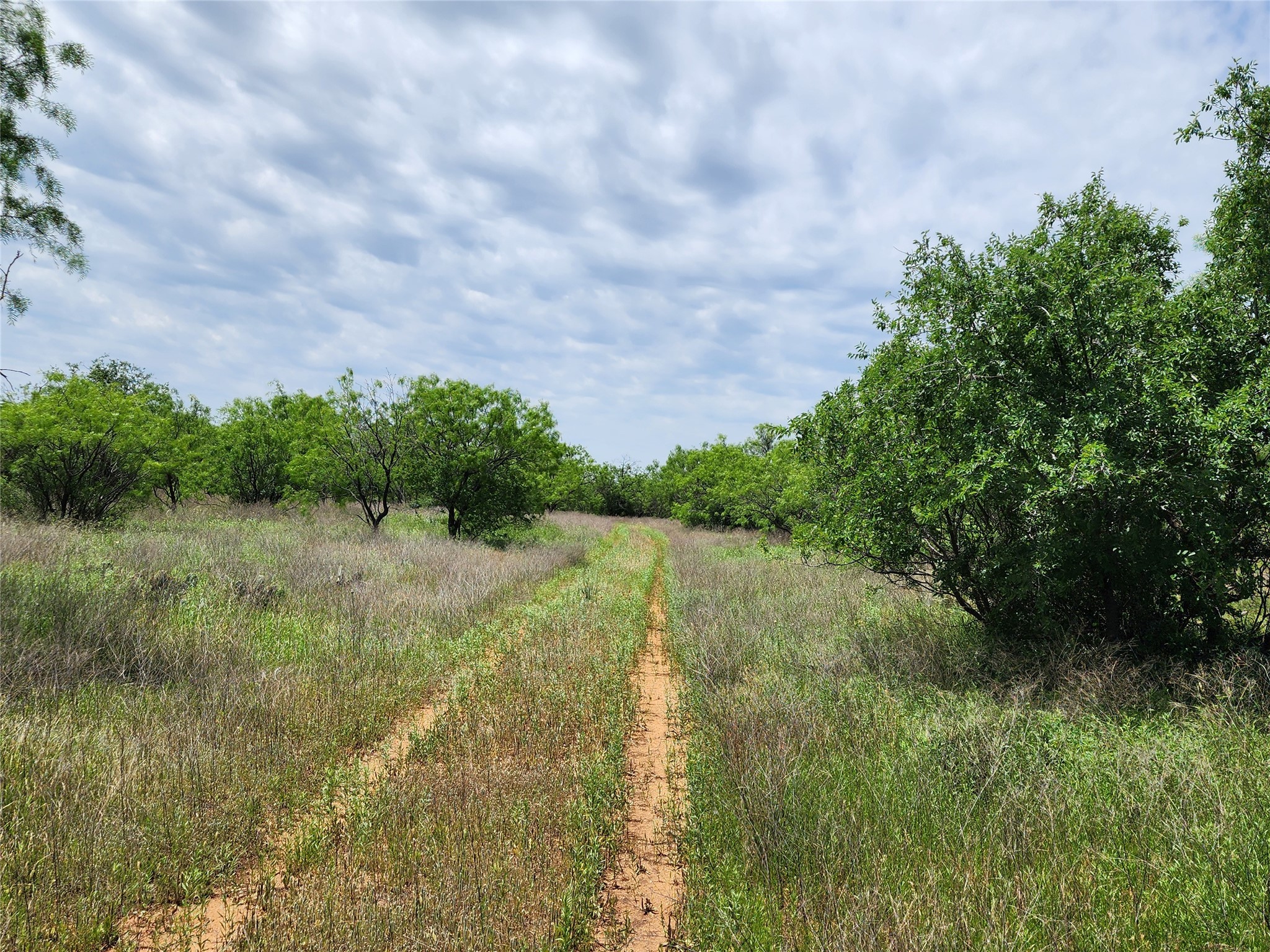 Tbd County Road 125 Cisco TX 76437