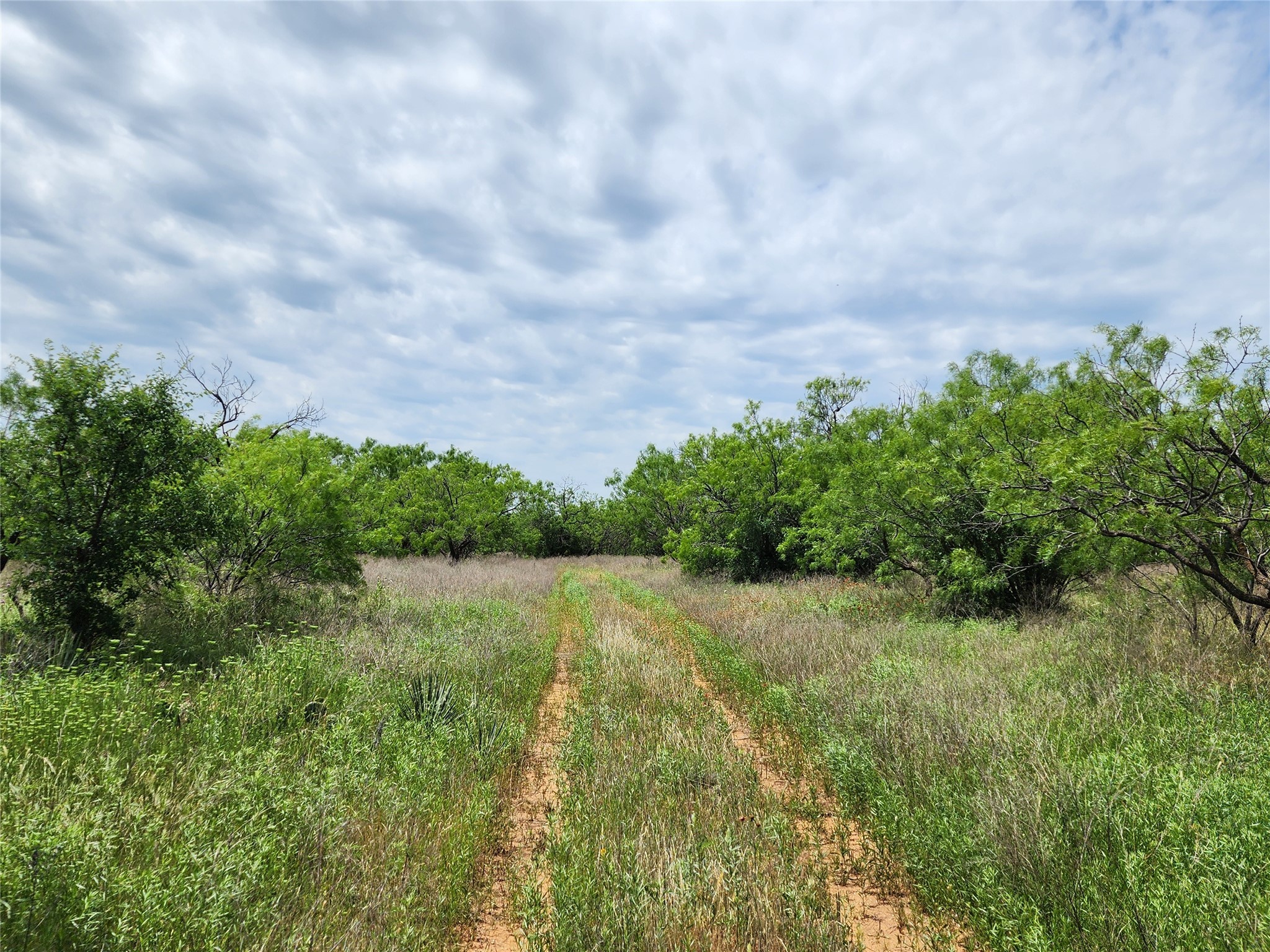 Tbd County Road 125 Cisco TX 76437
