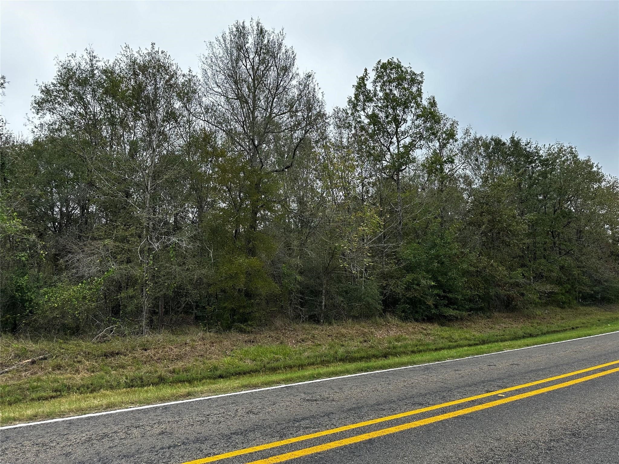 000 Bankside Livingston TX 77351