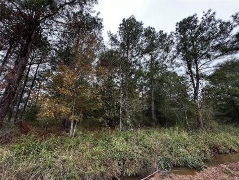 000 Bankside Livingston TX 77351