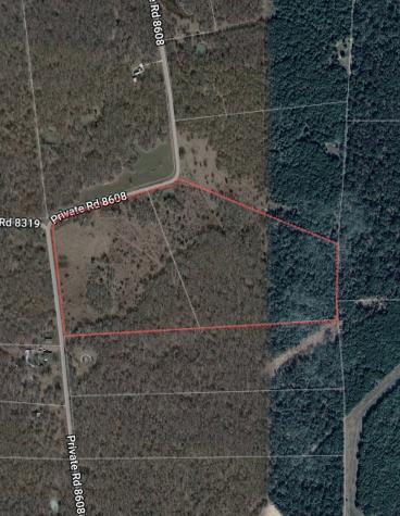 0 Private Road 8608 Tennessee Colony TX 75861