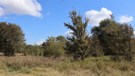 0 Private Road 8608 Tennessee Colony TX 75861