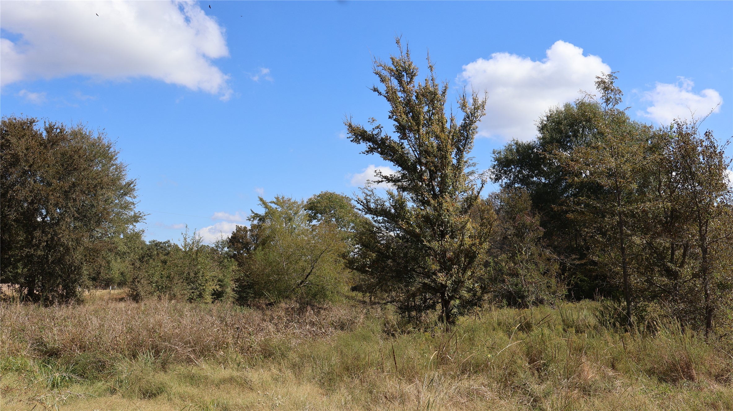0 Private Road 8608 Tennessee Colony TX 75861
