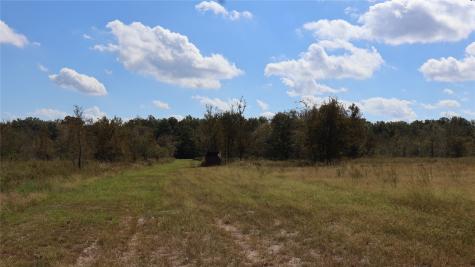 0 Private Road 8608 Tennessee Colony TX 75861